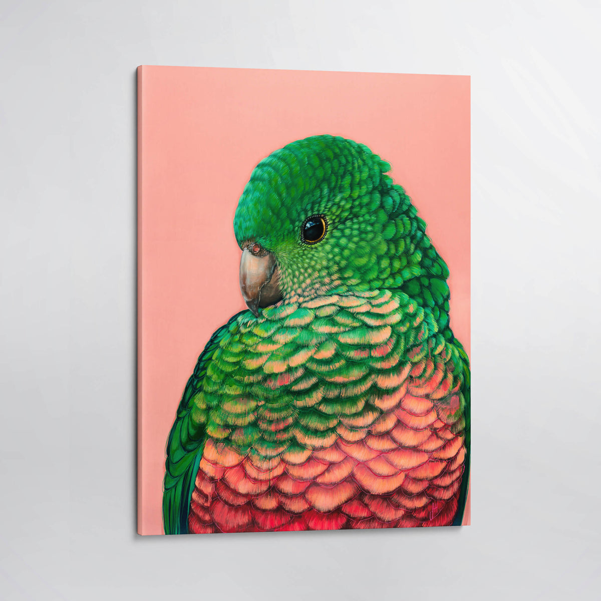 'Queenie' the King Parrot Canvas Print