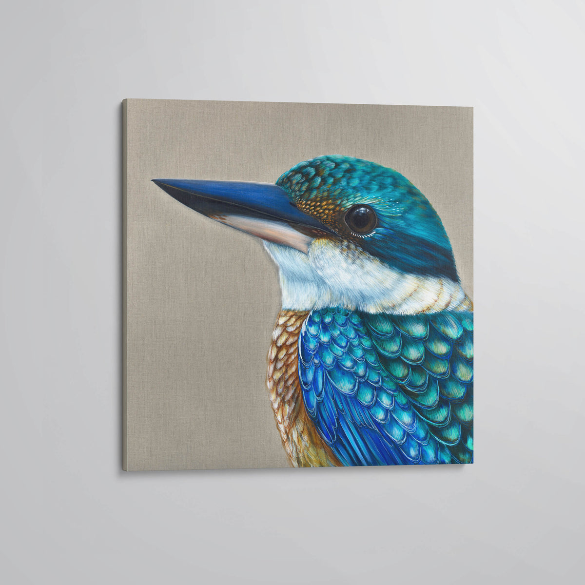 &#39;Reef&#39; The Sacred Kingfisher Stretched Canvas