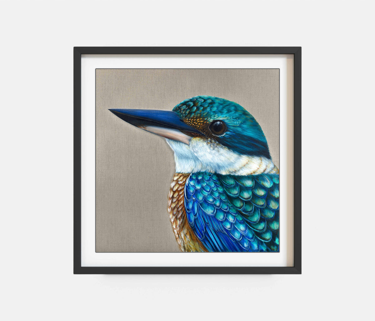'Reef' The sacred Kingfisher