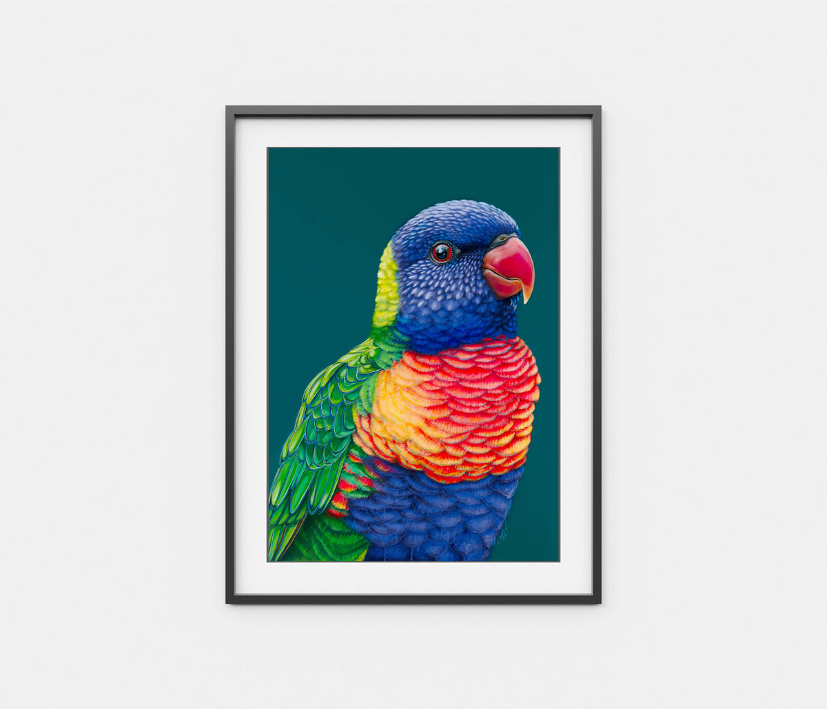 &#39;Rupert&#39; The Rainbow Lorikeet