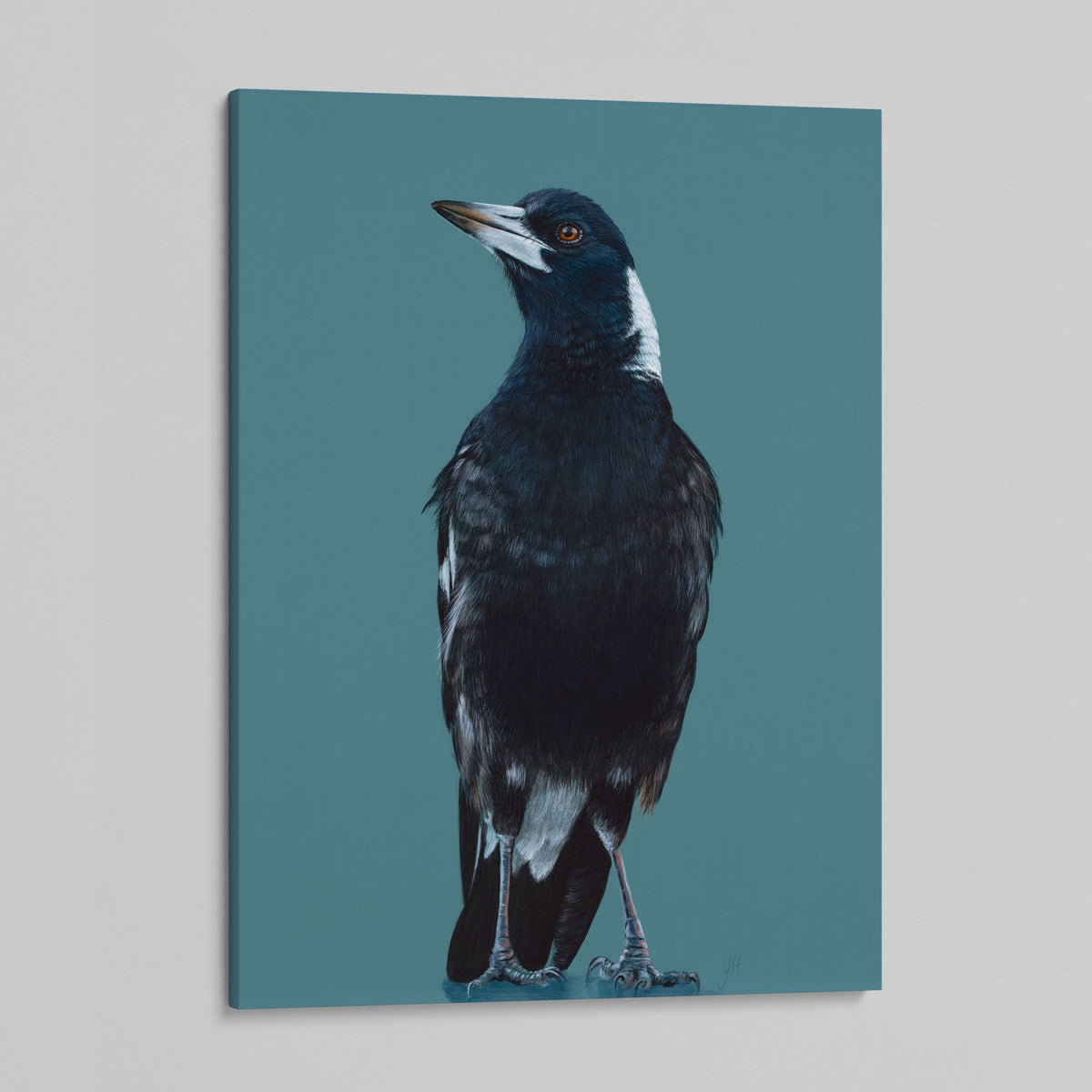 Stanley the Magpie canvas print