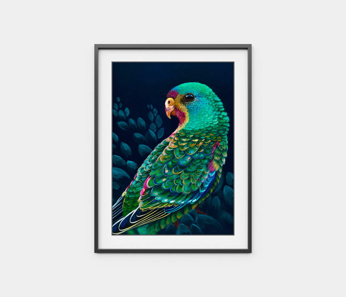 'Swifty' the Swift Parrot