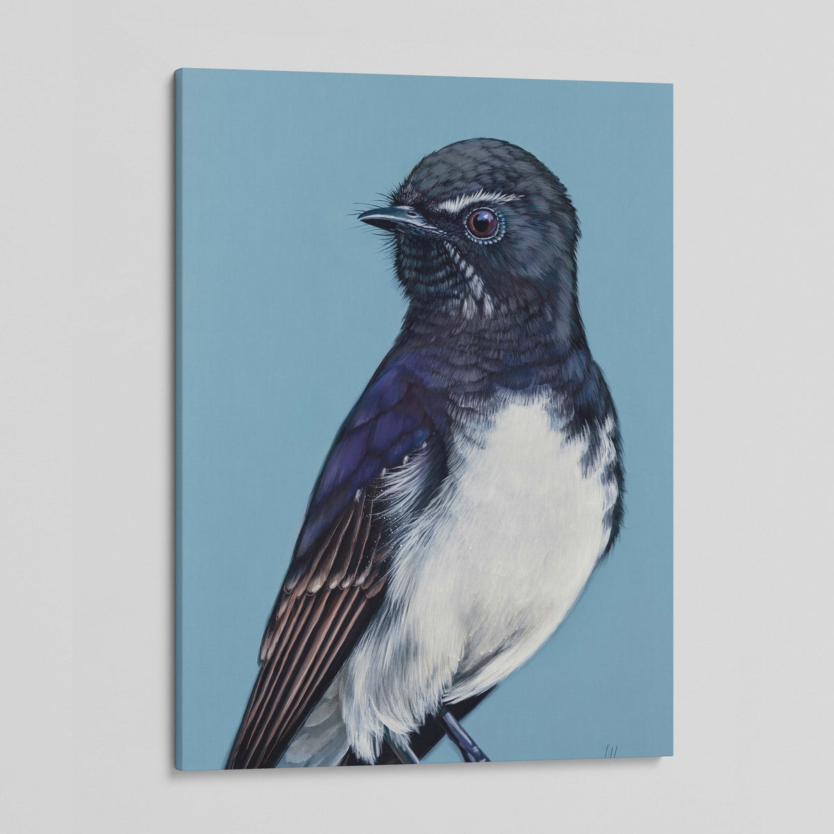 William the Wille Wagtail canvas print
