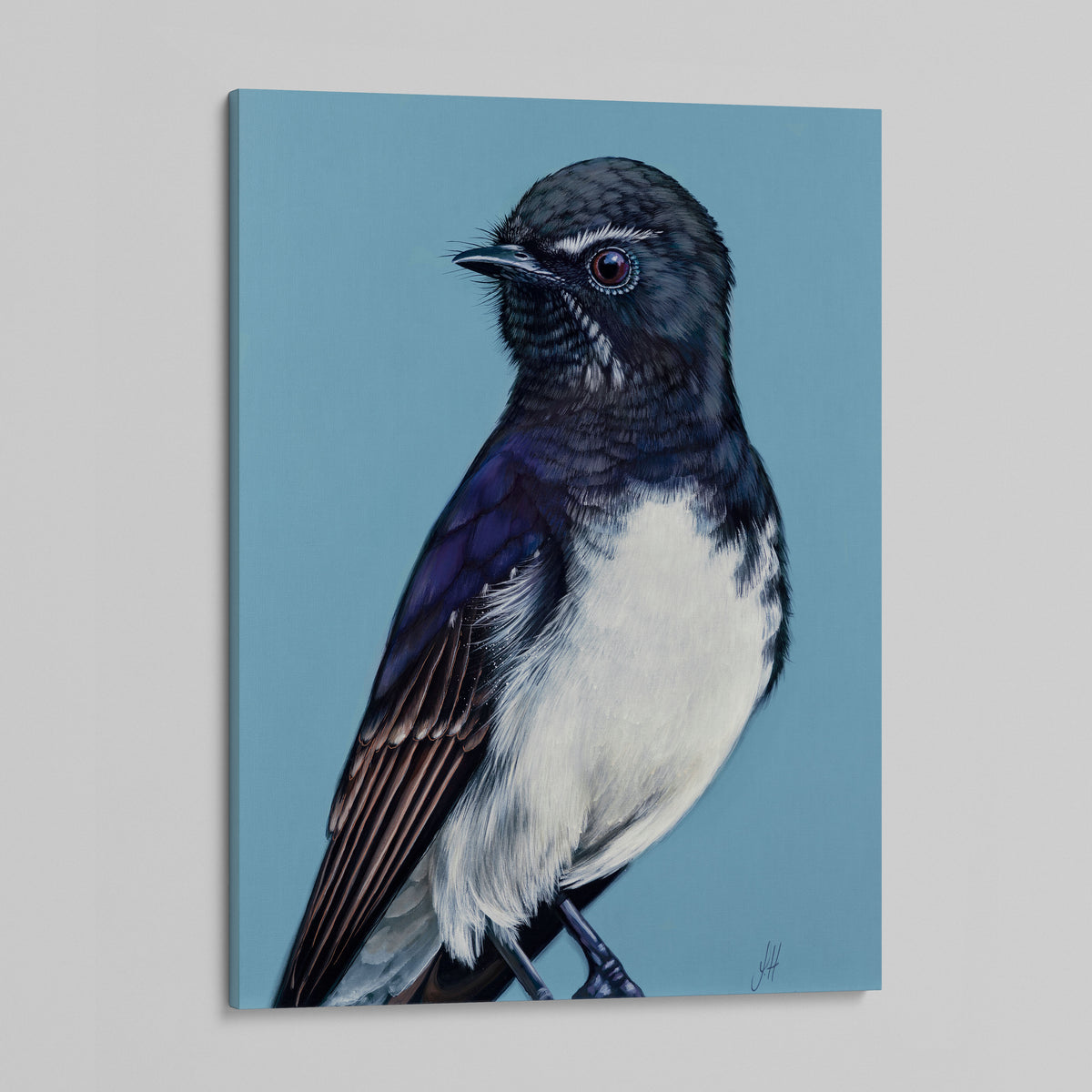 William the Wille Wagtail canvas print