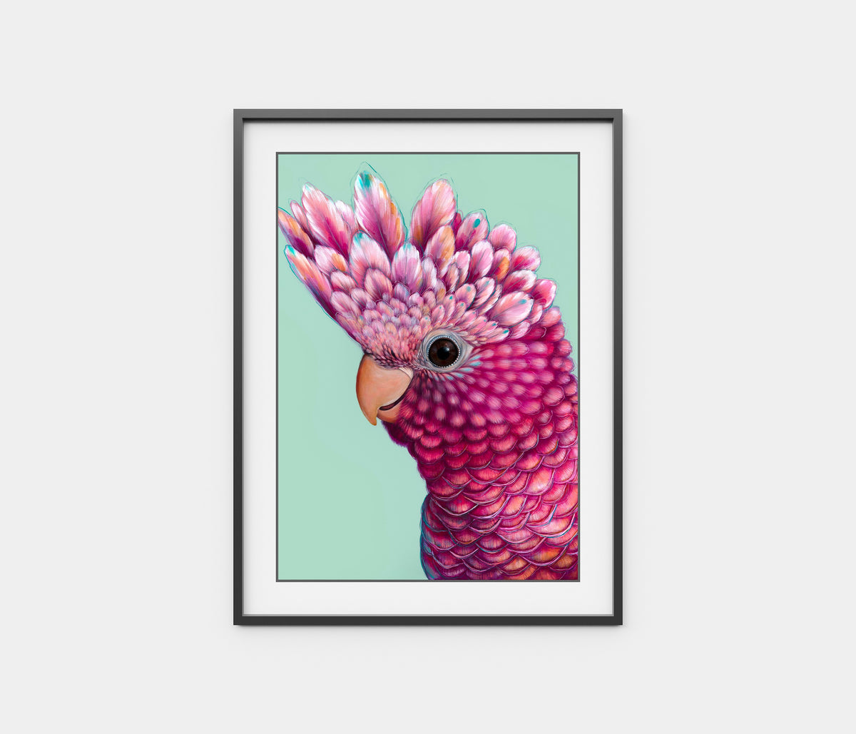 'Ziggy' the Galah
