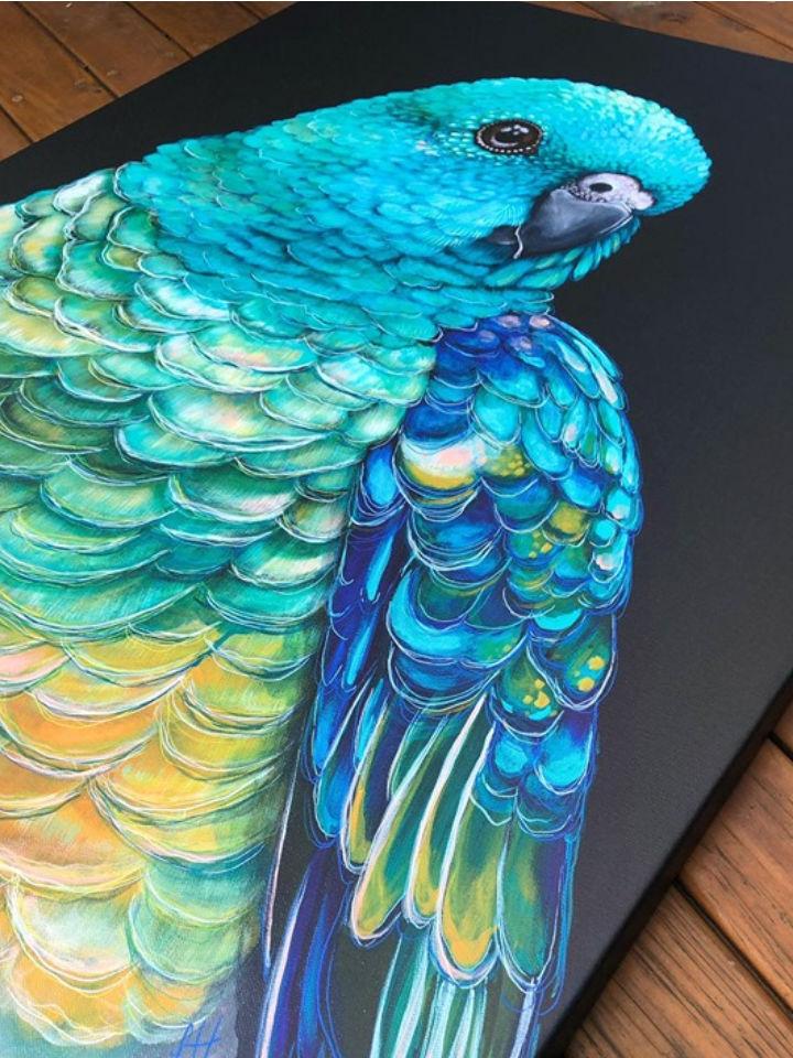 &#39;Banjo&#39; the Red Rumped Parrot canvas print