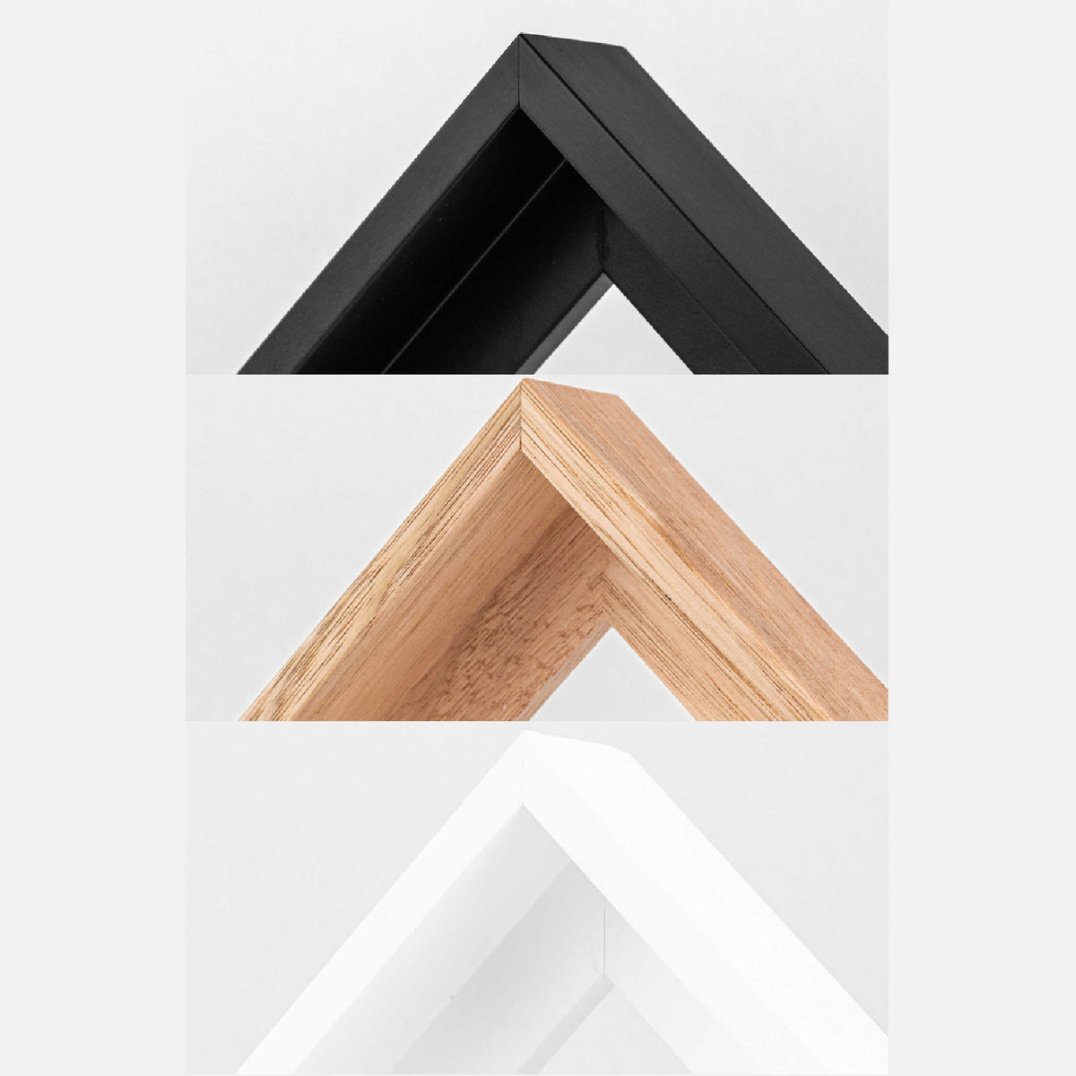 Maverick the Magpie canvas print