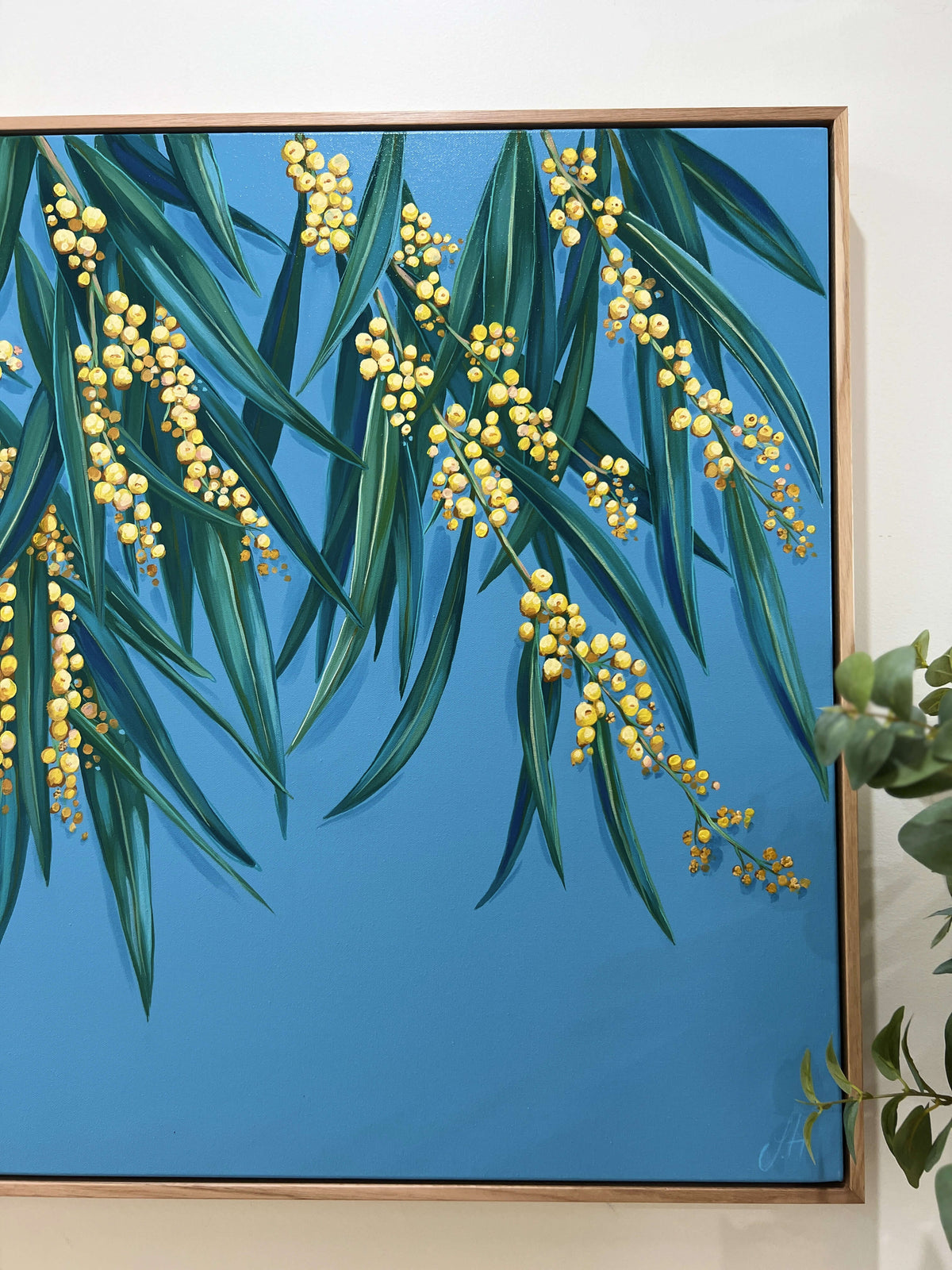 'Golden Hour' Wattle - Original framed artwork