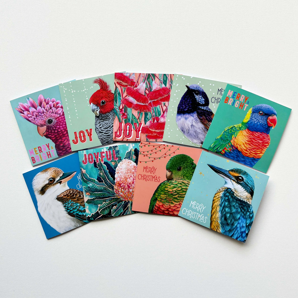 Pip the Superb Fairy Wren Christmas Card