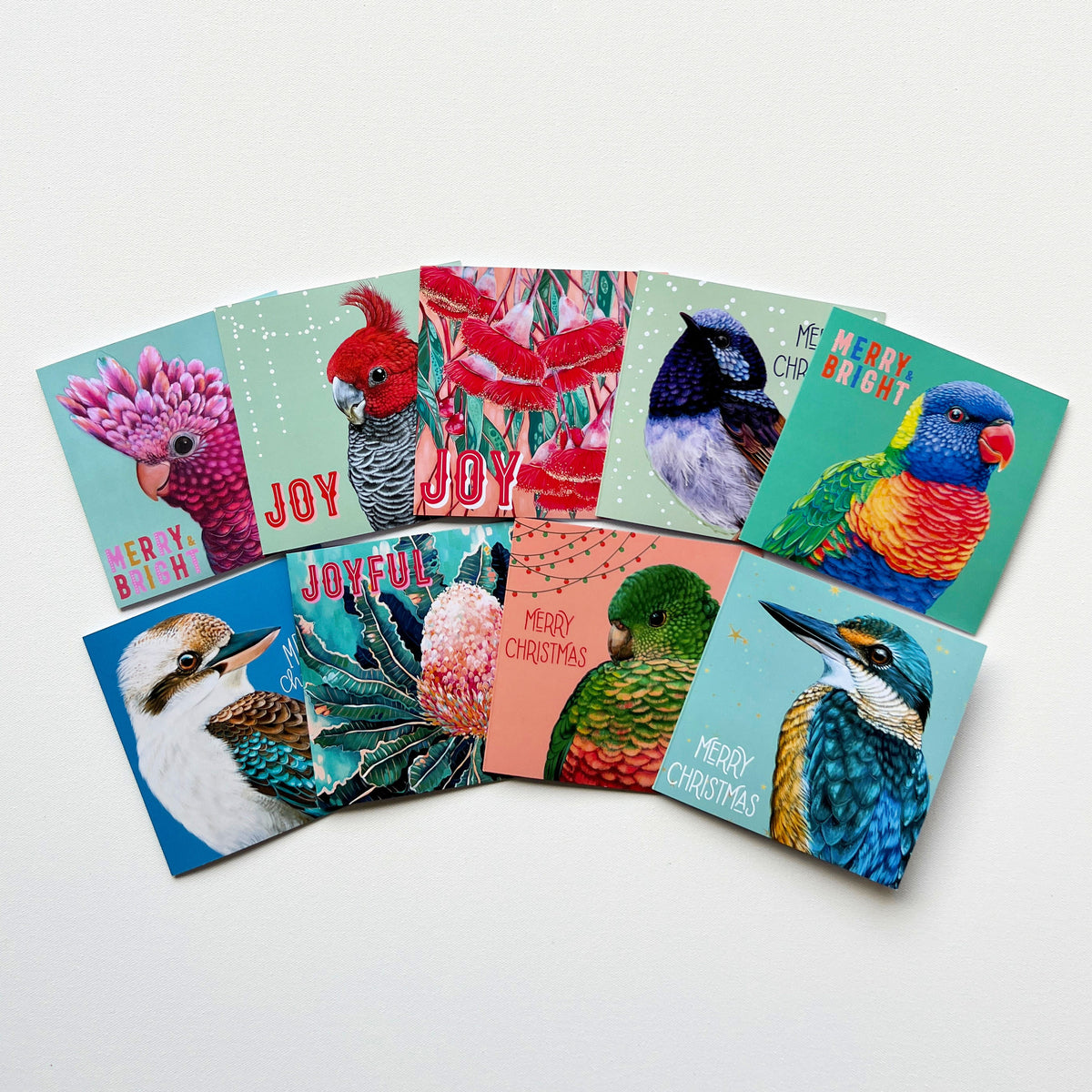 Iluka the Sacred Kingfisher Christmas Card