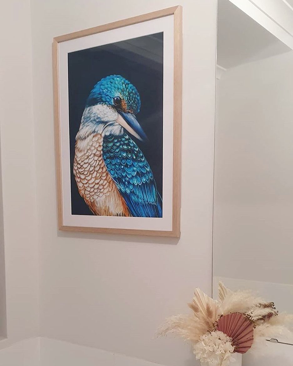 'Kingsley' the Sacred Kingfisher