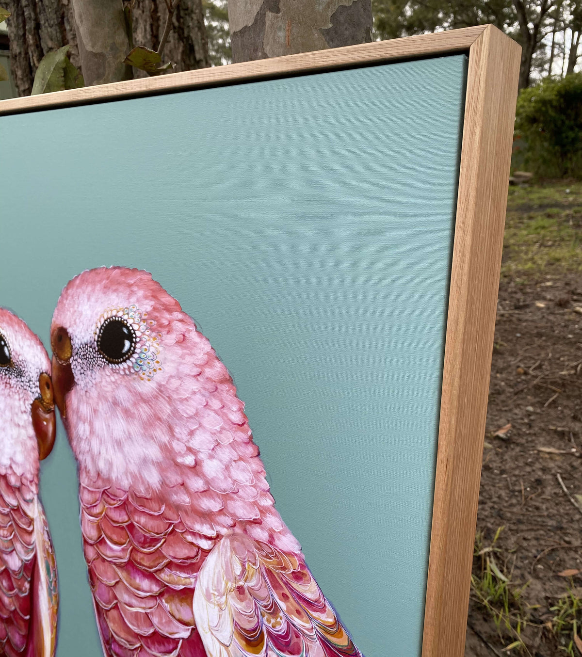 &#39;Orville and Wilbur&#39; Bourke&#39;s Parrots canvas print