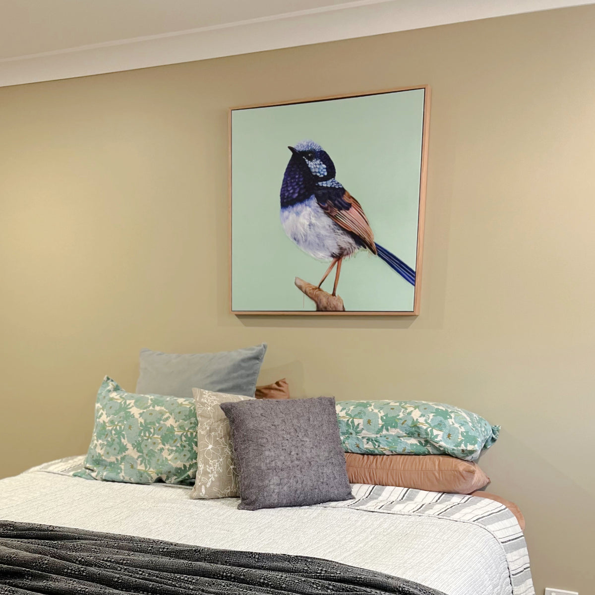'Pip' The Superb Fairy Wren Stretched Canvas