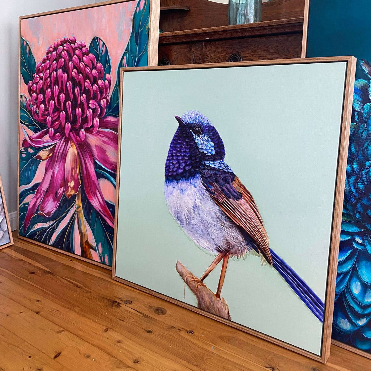 'Pip' The Superb Fairy Wren Stretched Canvas