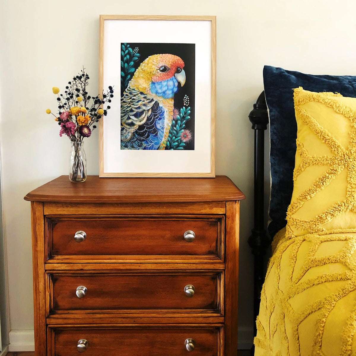 'Sunny' the Yellow Rosella