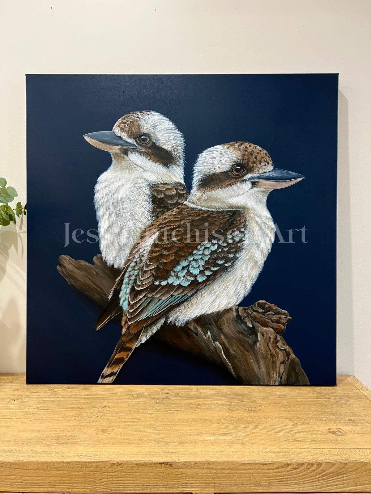 ‘Where you are’ Kookaburra framed original artwork