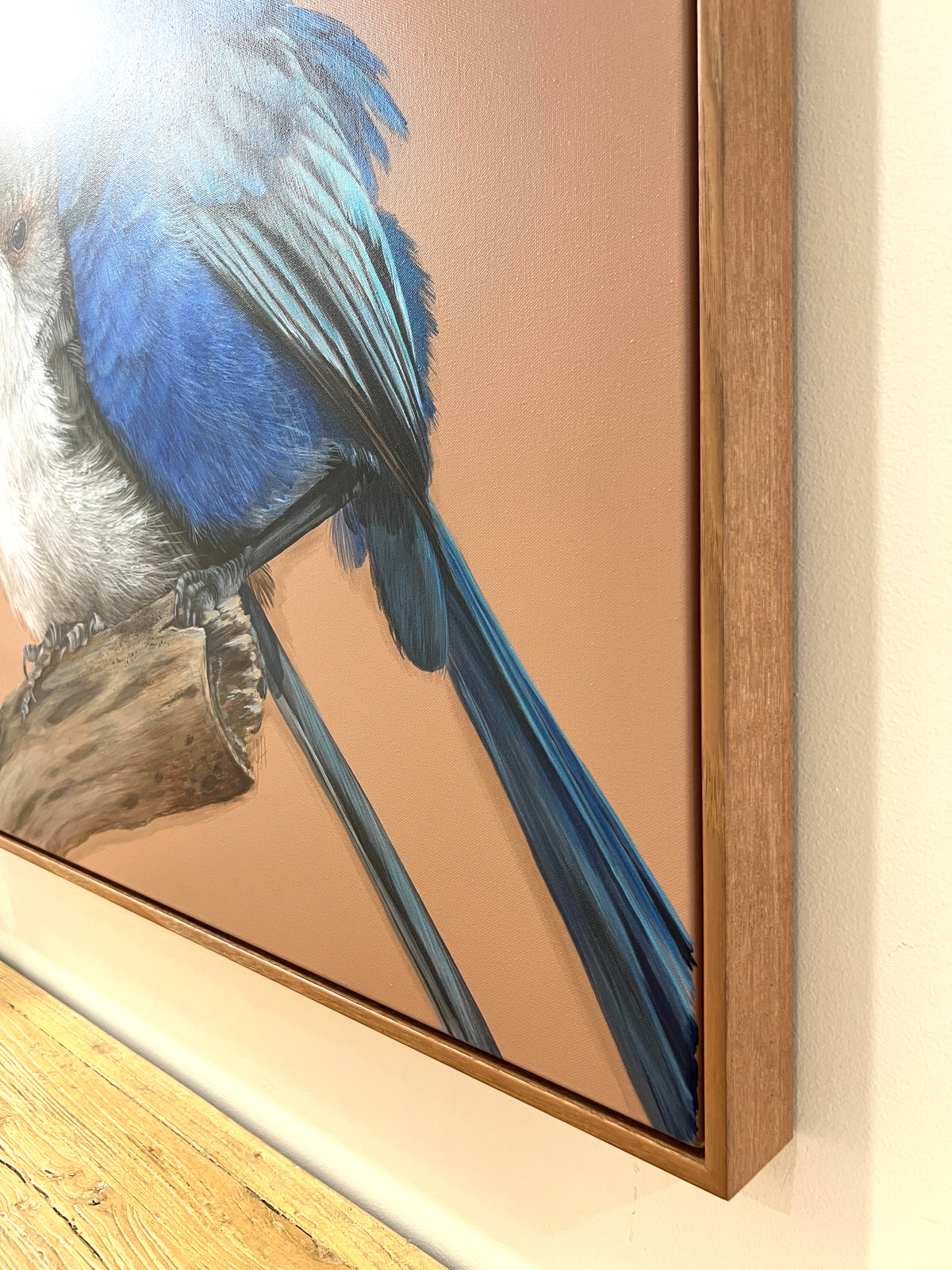 ‘Fred and Ginger’ Splendid Fairy-wren pair framed original artwork
