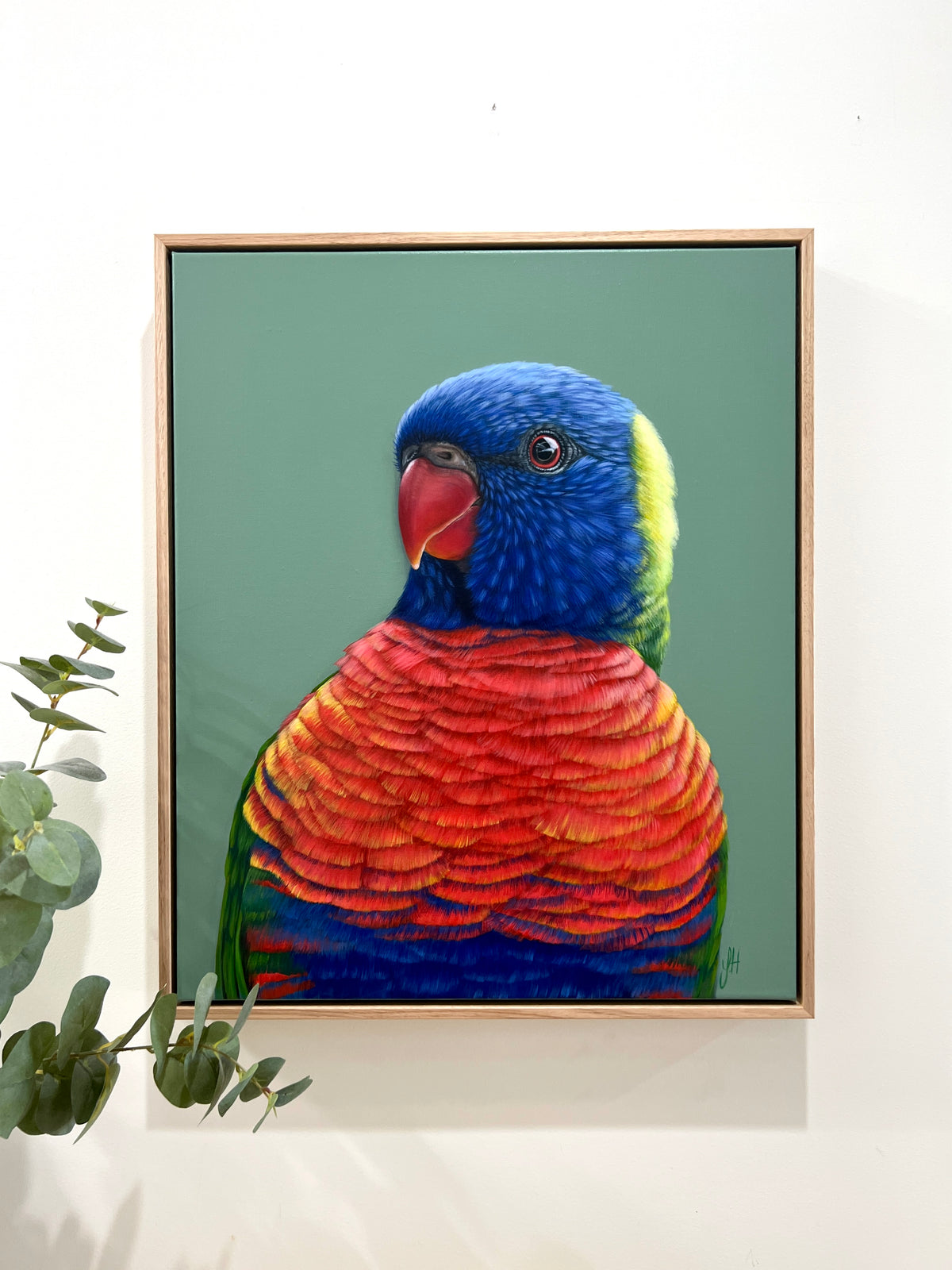 Beau the Rainbow Lorikeet original framed artwork