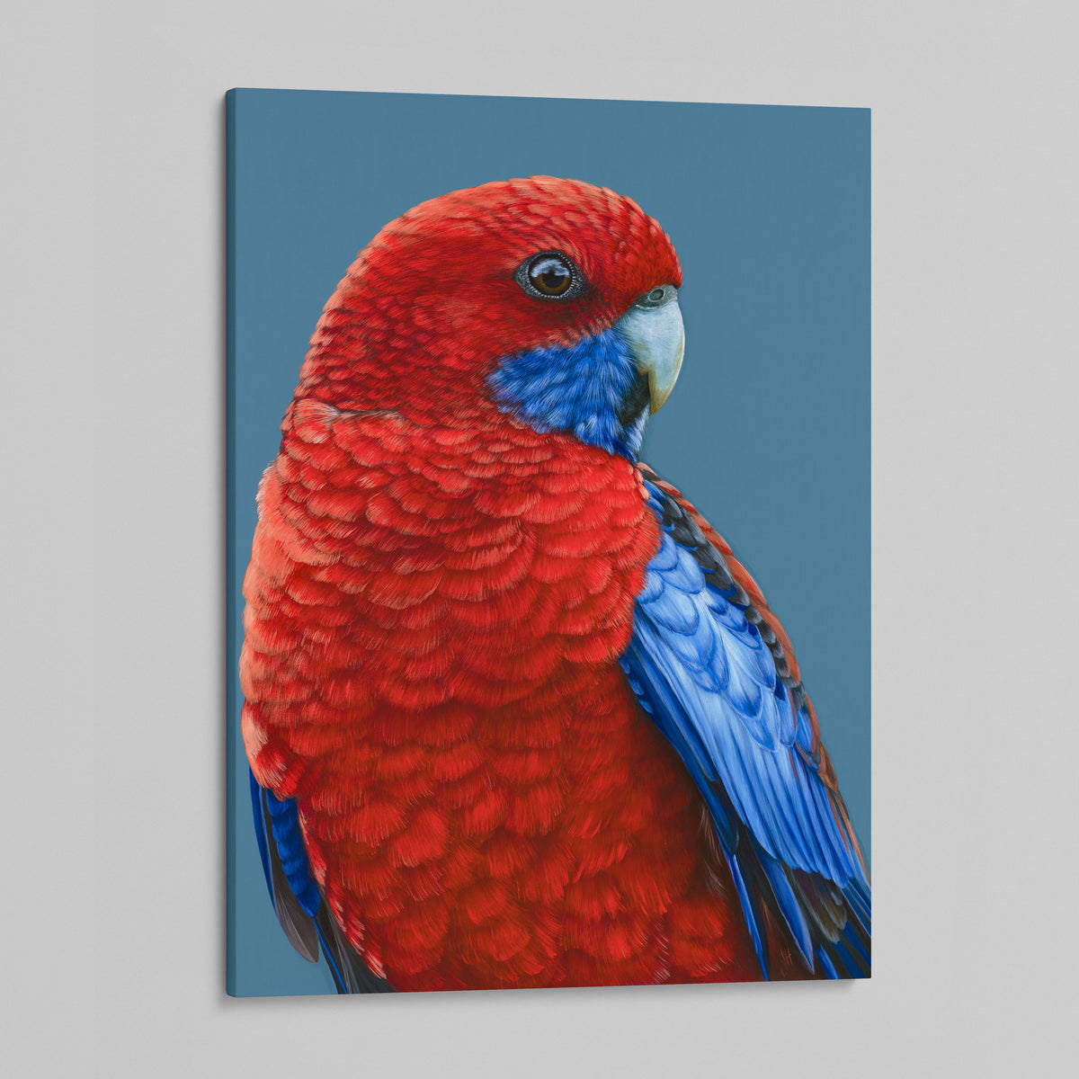Russell the Crimson Rosella canvas print