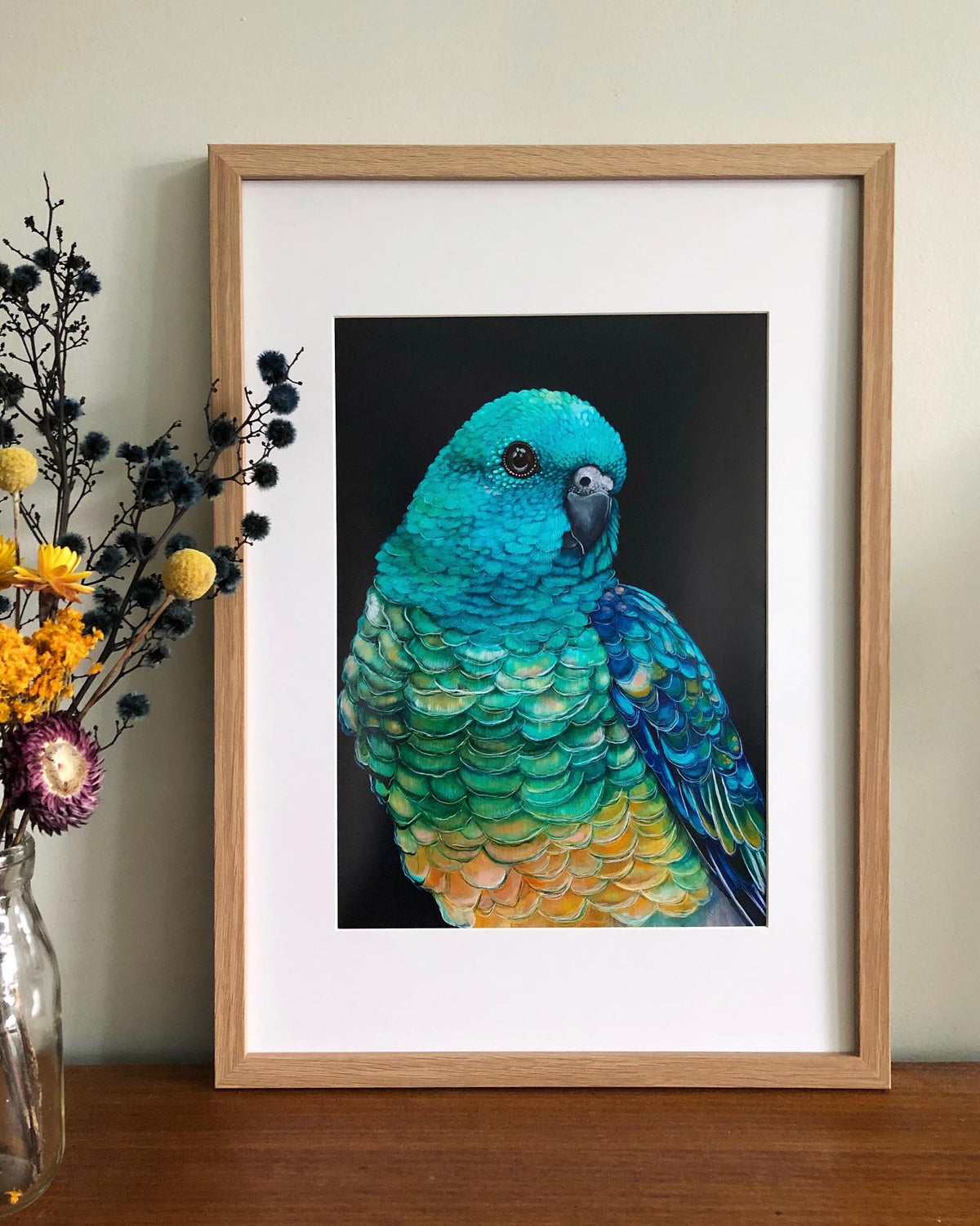 &#39;Banjo&#39; the Red Rumped Parrot