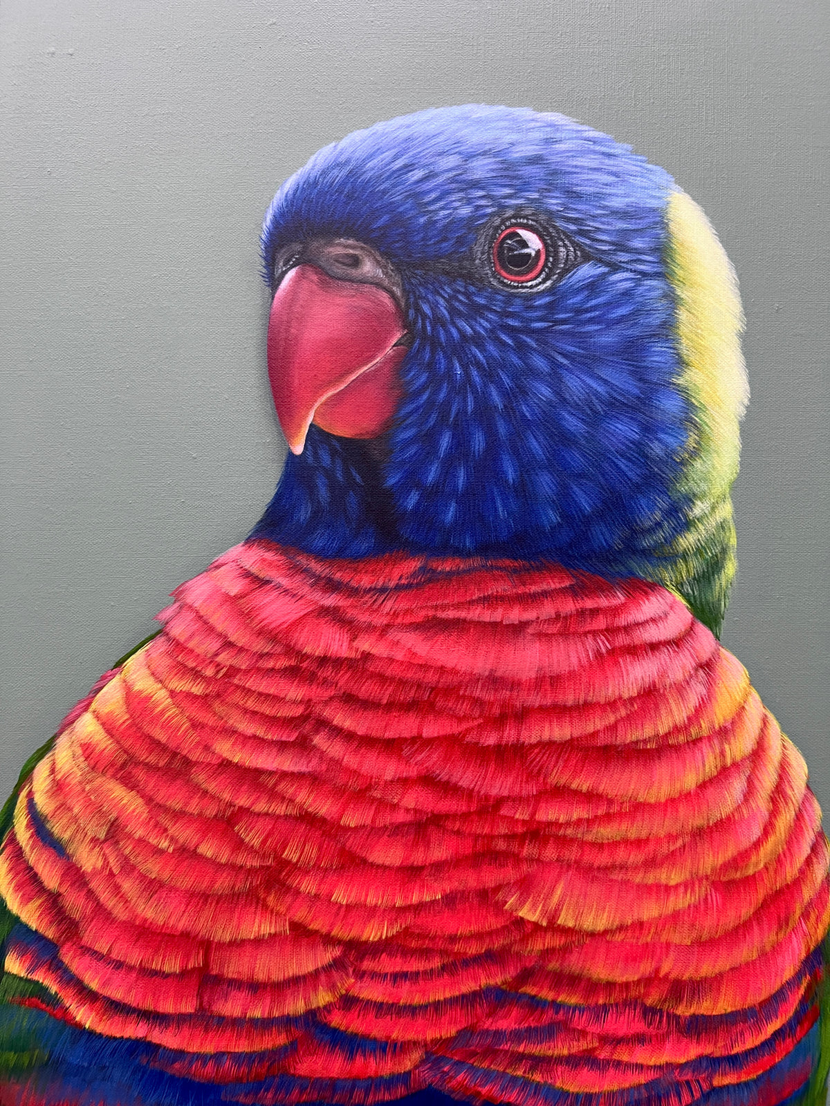 Beau the Rainbow Lorikeet original framed artwork