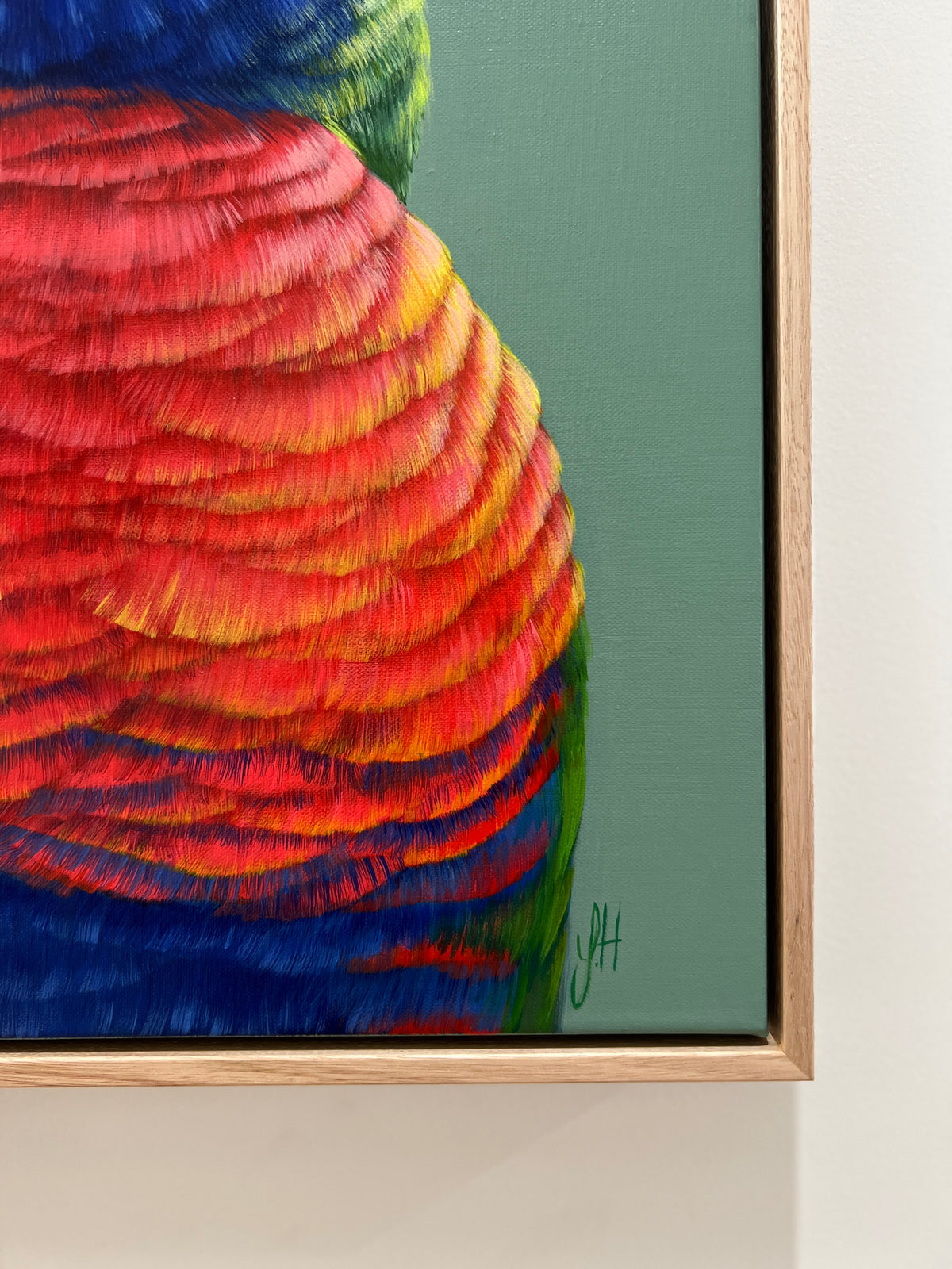 Beau the Rainbow Lorikeet original framed artwork