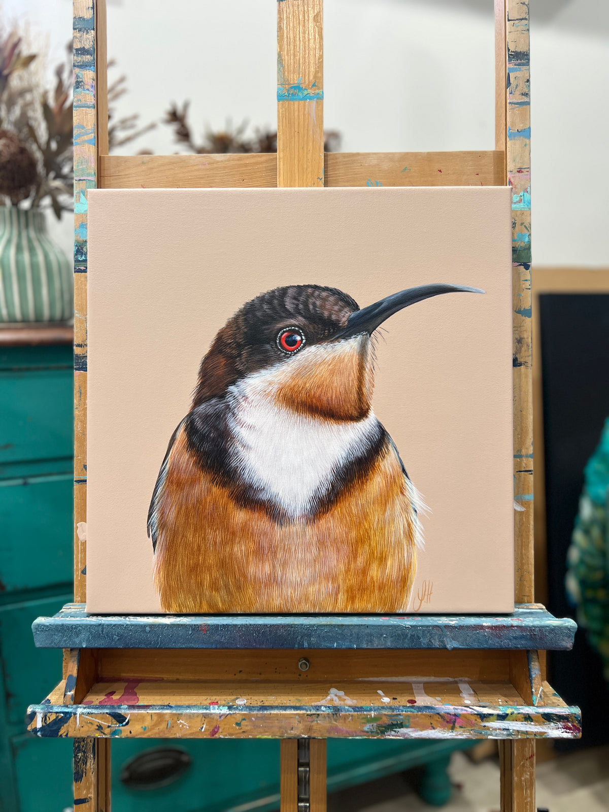‘Clay’ the Eastern Spinebill original framed artwork