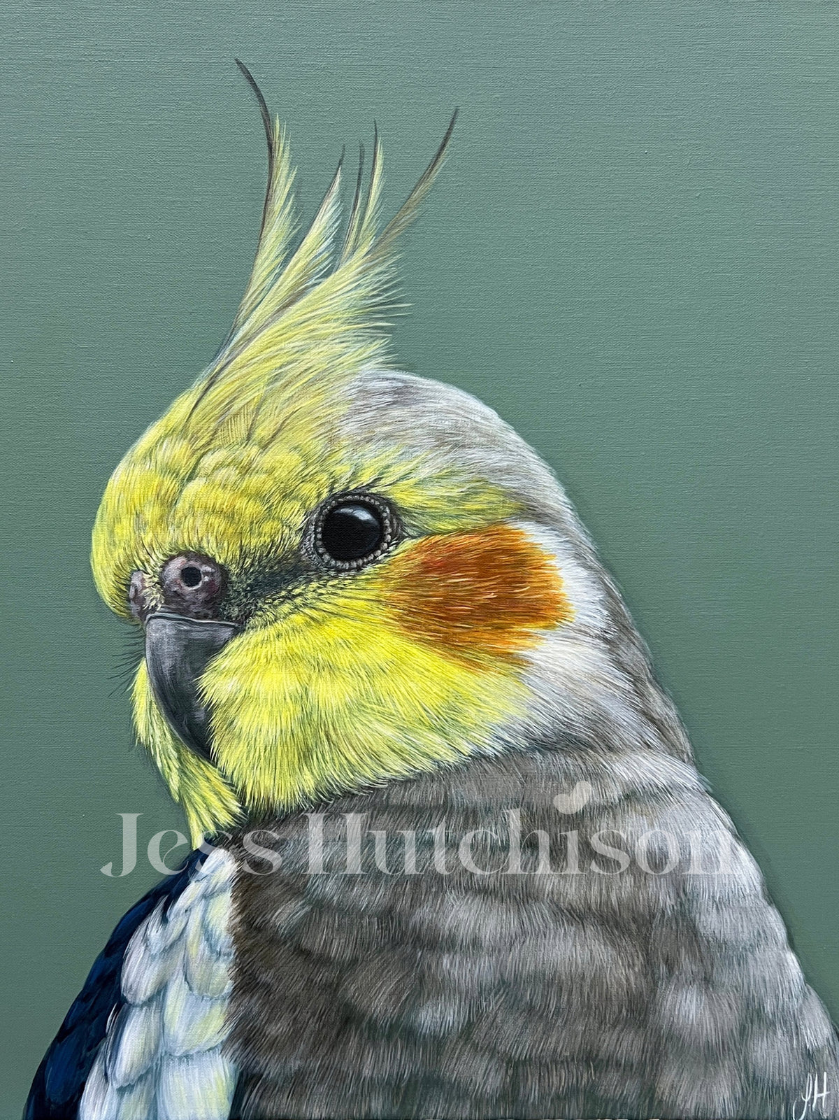 Clyde the Cockatiel original framed artwork