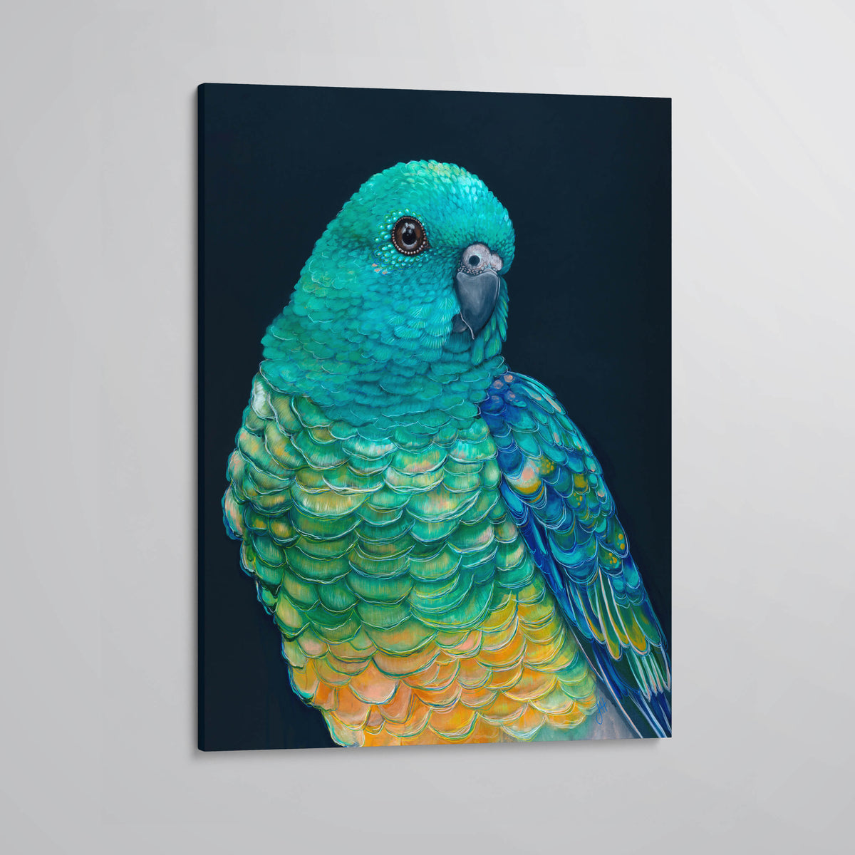 &#39;Banjo&#39; the Red Rumped Parrot canvas print