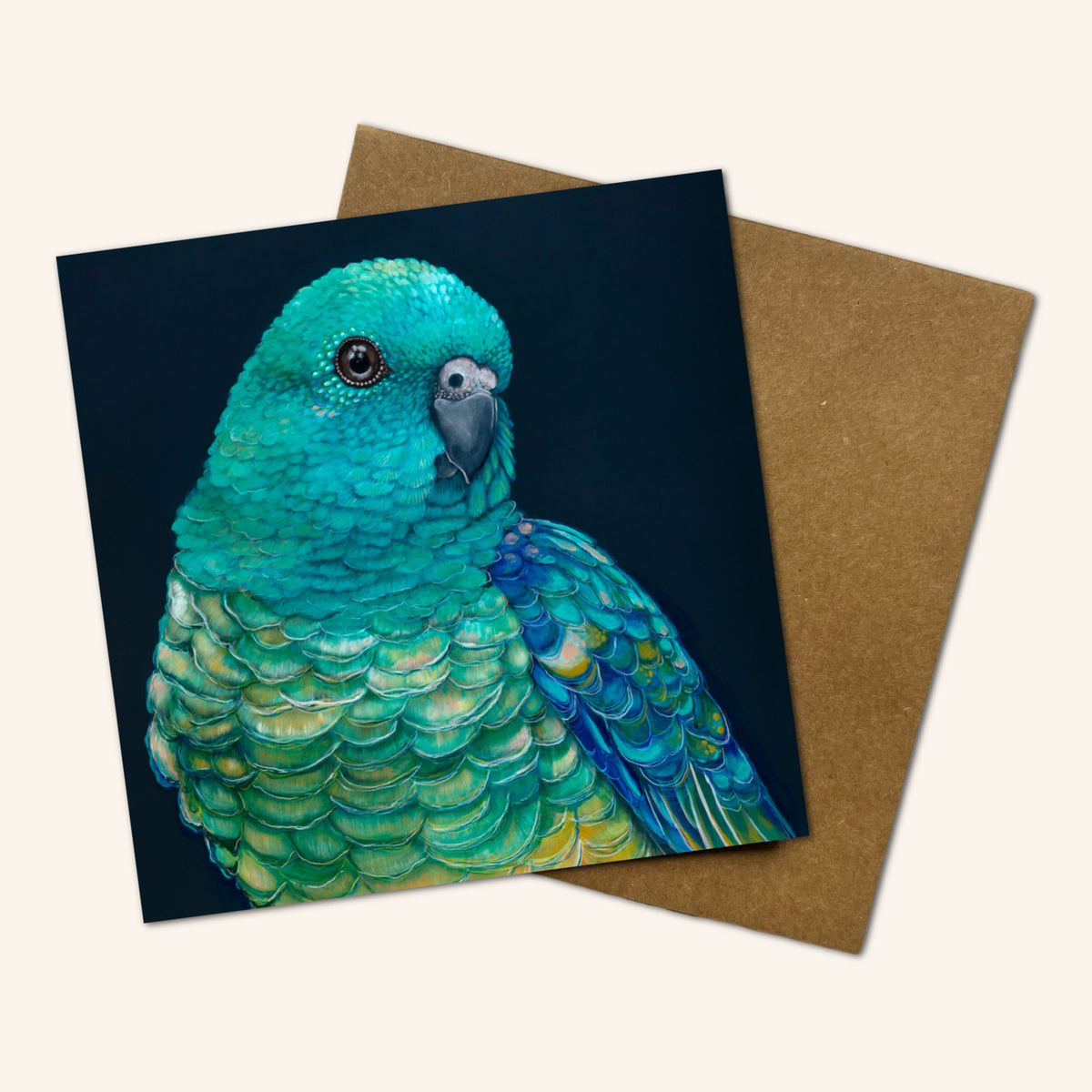 Mystery Greeting card pack of 10 - Birds