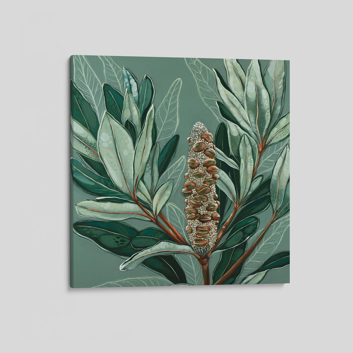 ‘Banksia Heart’ canvas print