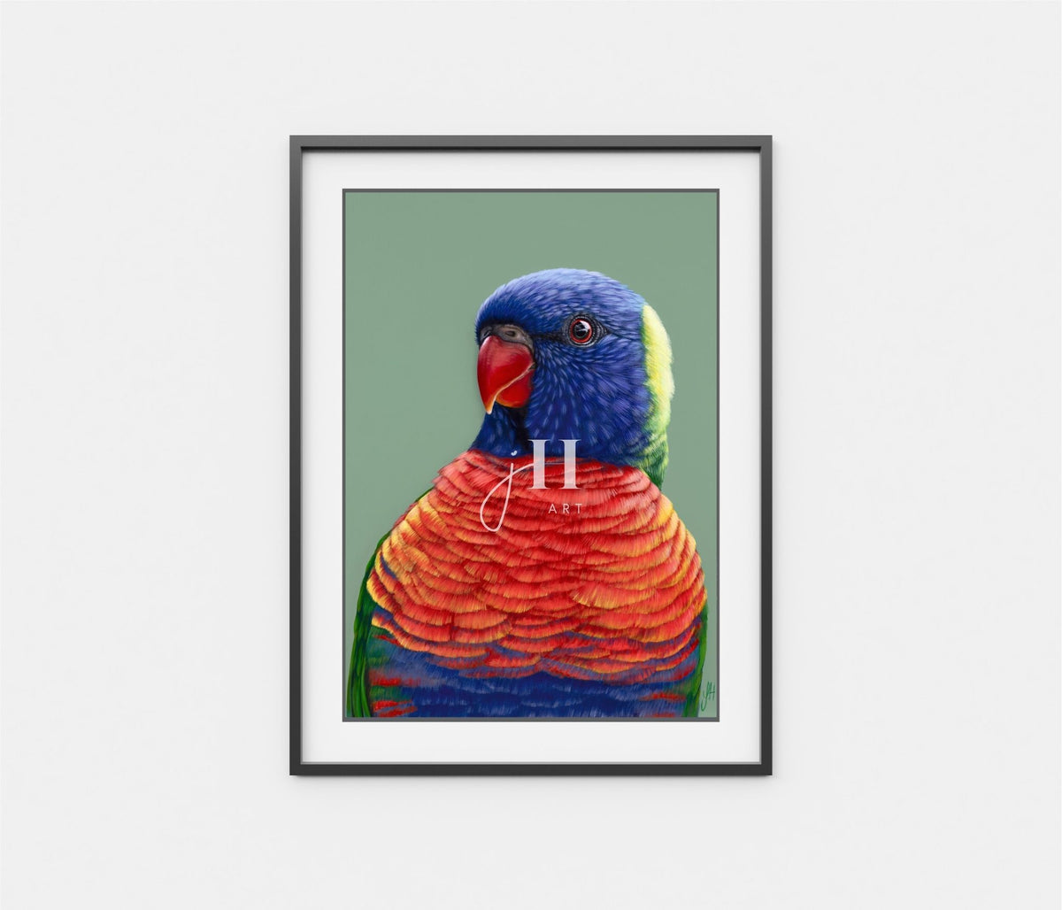 'Beau' the Rainbow Lorikeet
