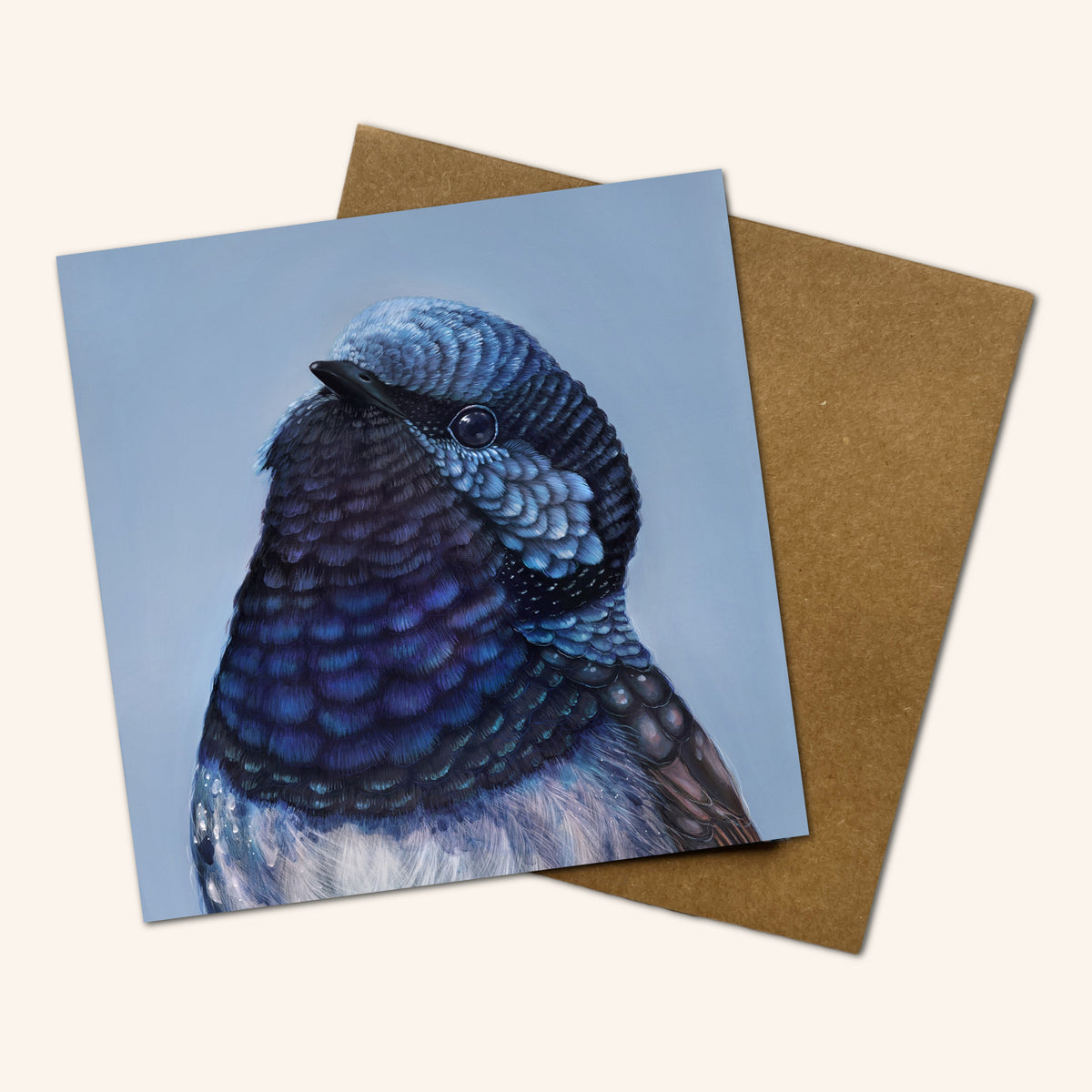 Mystery Greeting card pack of 10 - Birds