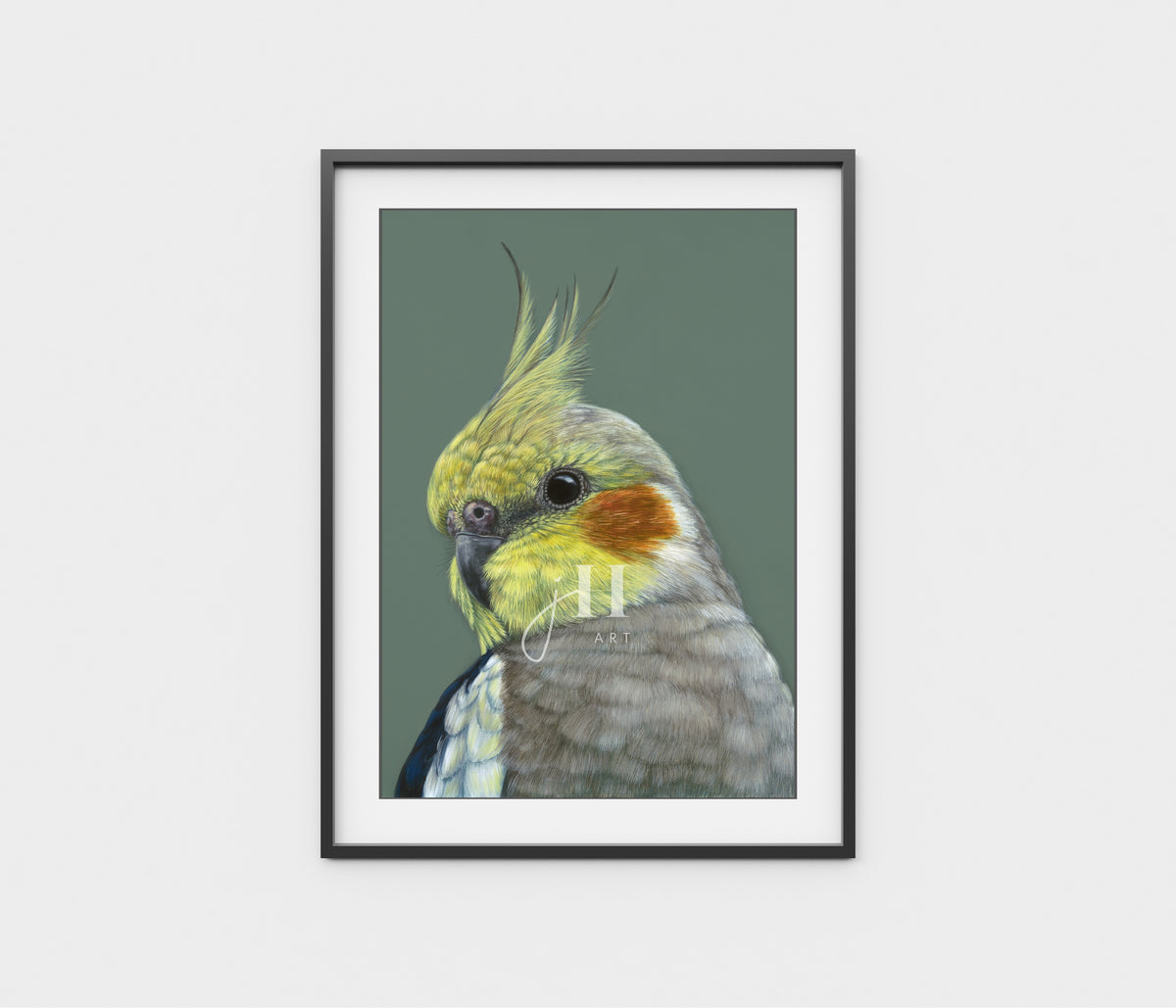 &#39;Clyde&#39; The Cockatiel