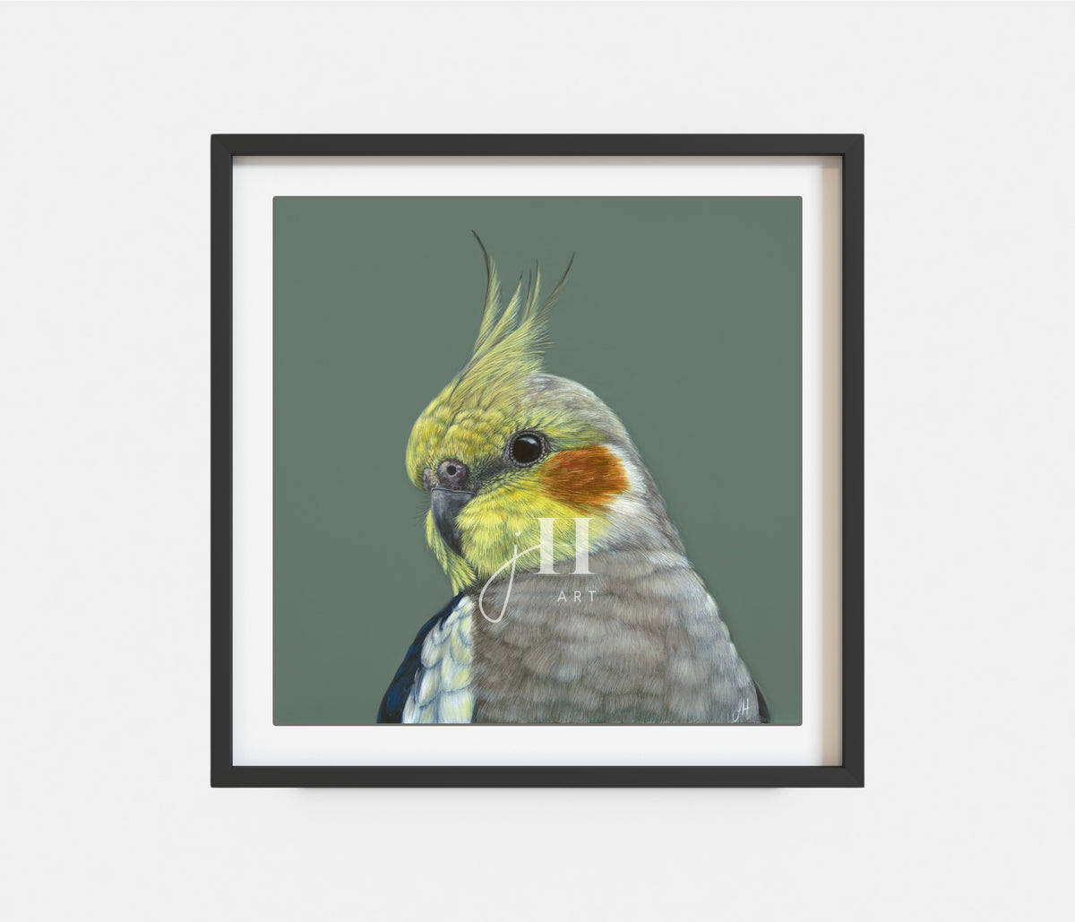 &#39;Clyde&#39; The Cockatiel