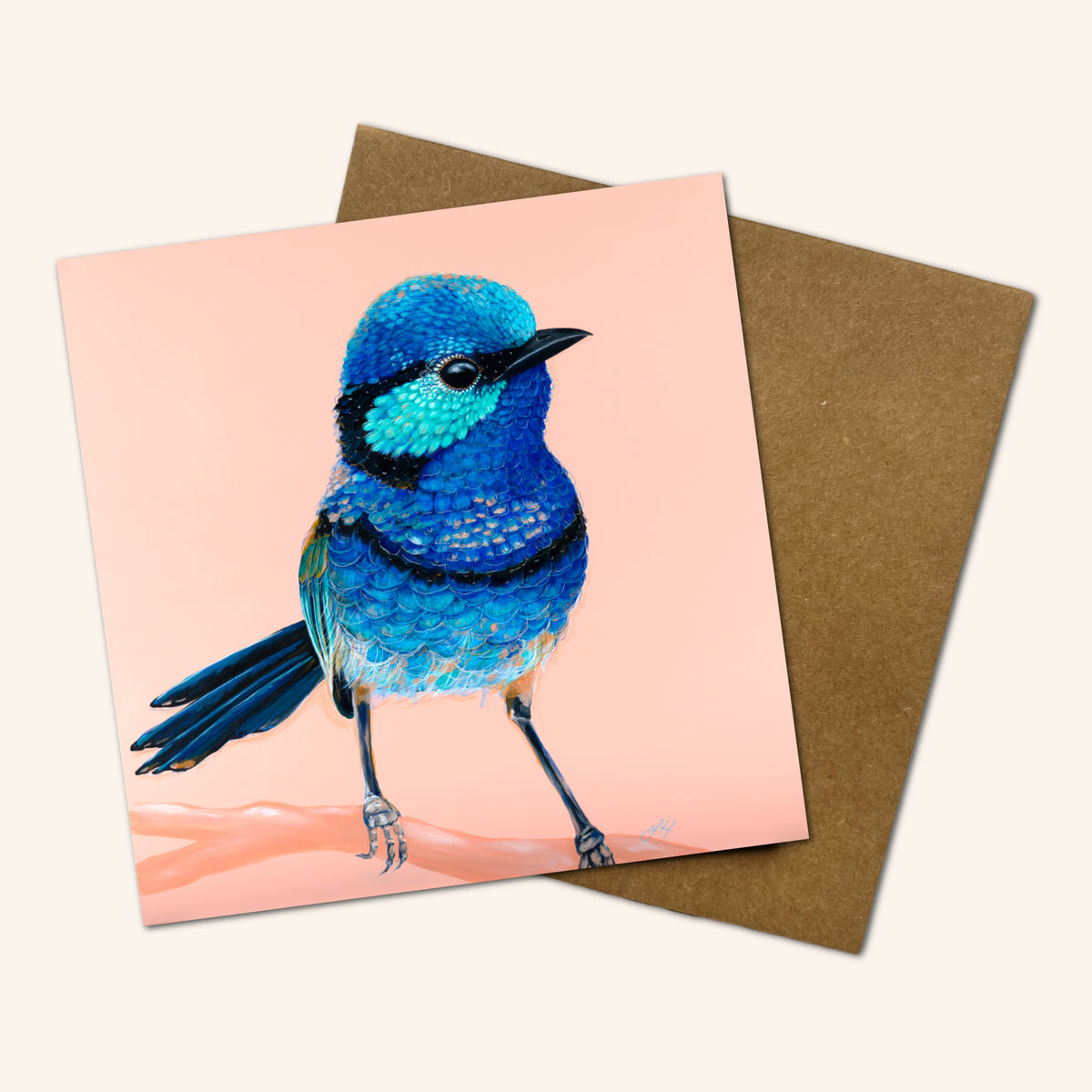 Mystery Greeting card pack of 10 - Birds