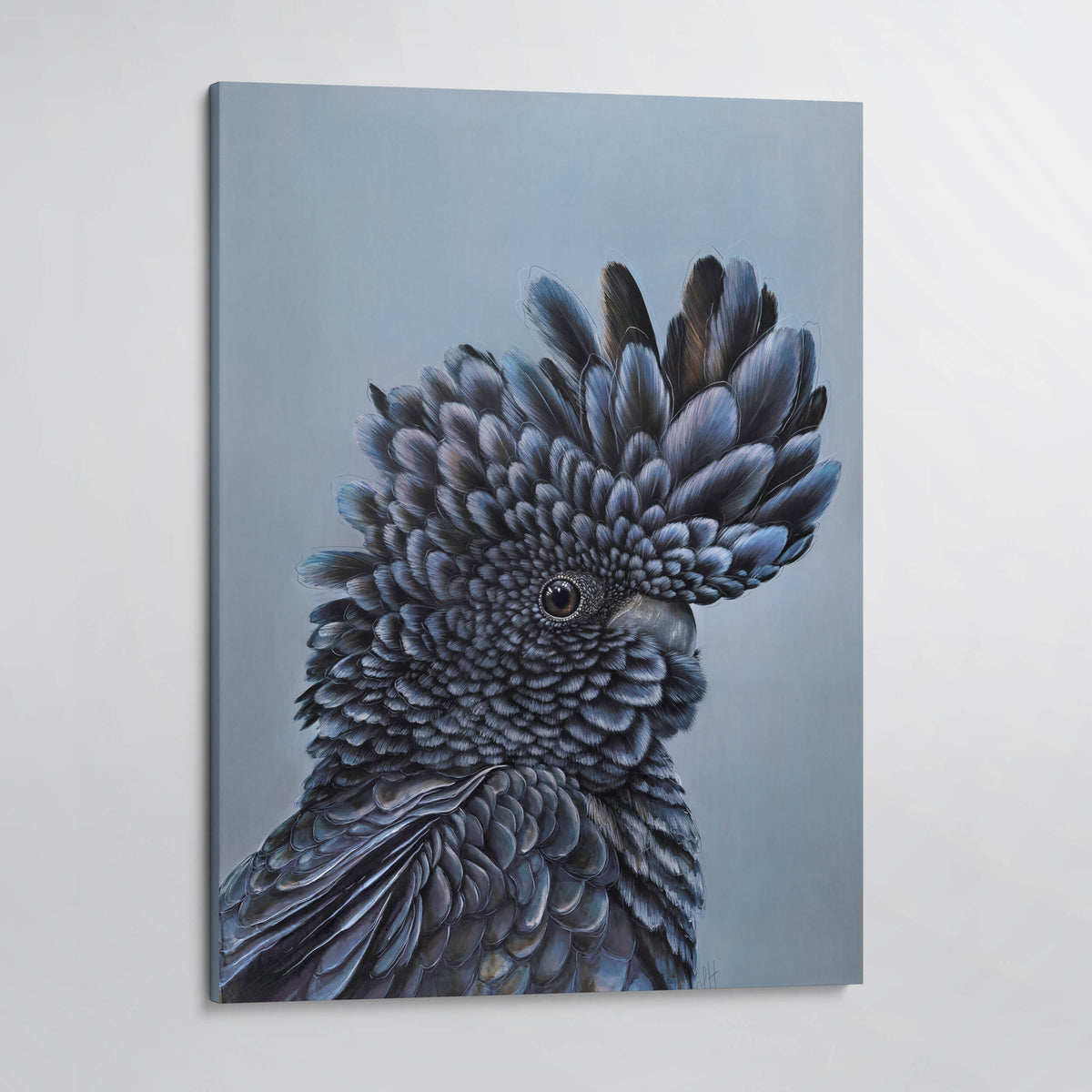 Chester the Red Tailed Black Cockatoo canvas print