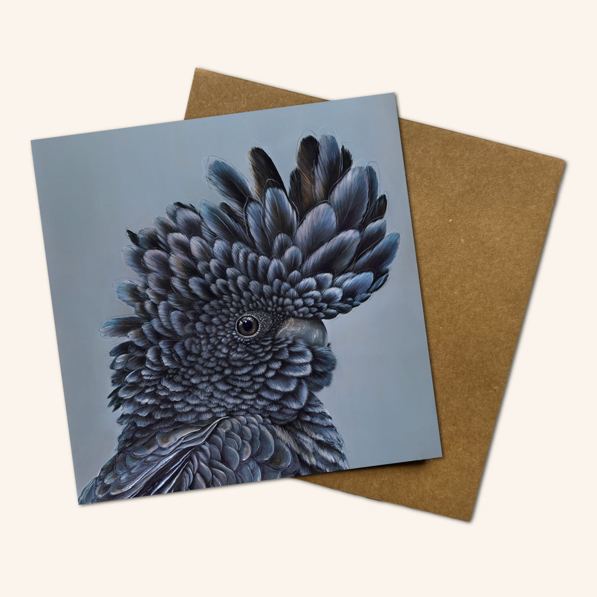 Mystery Greeting card pack of 10 - Birds