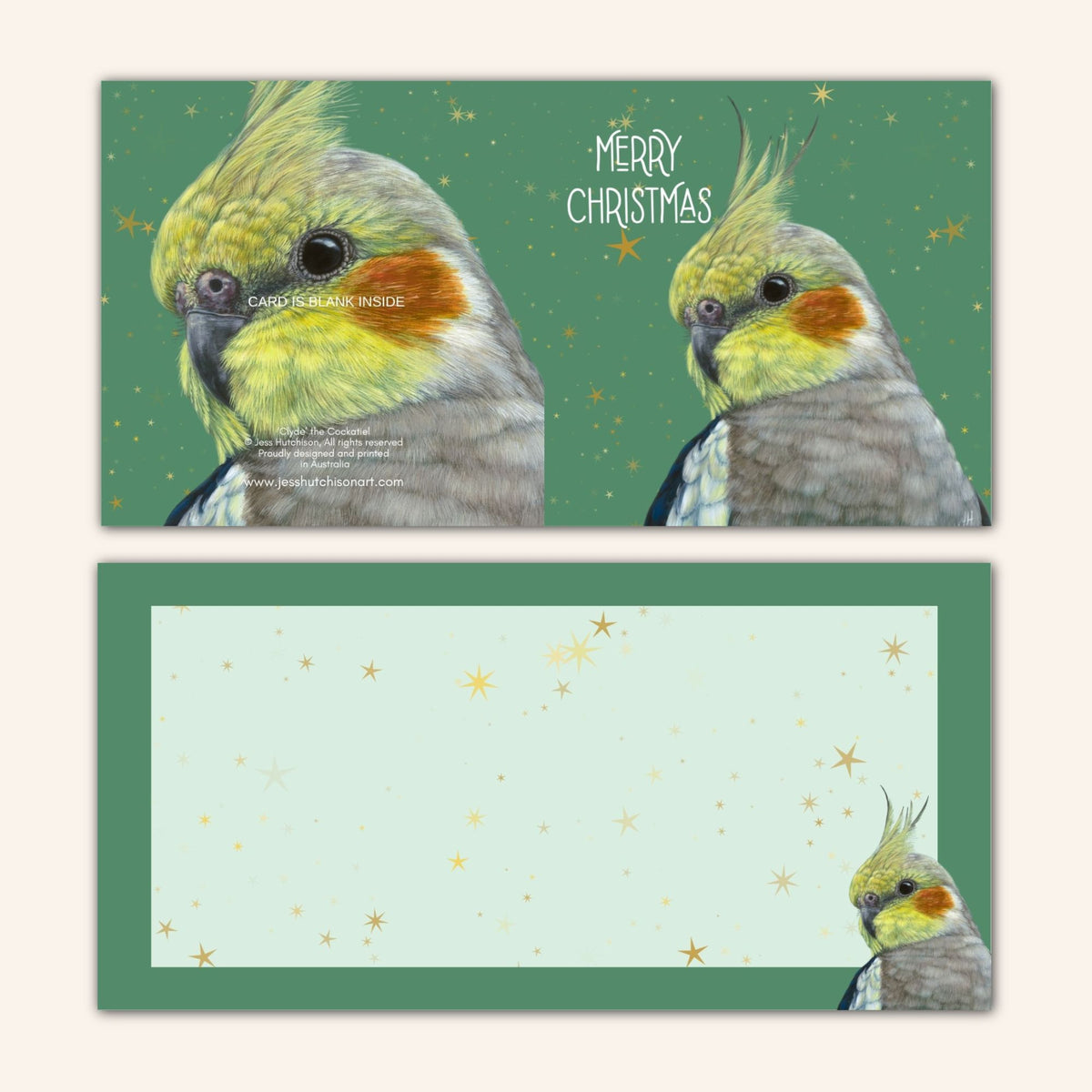 2025 edition Christmas Card Set