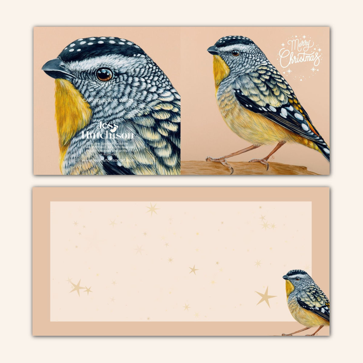 2025 edition Christmas Card Set