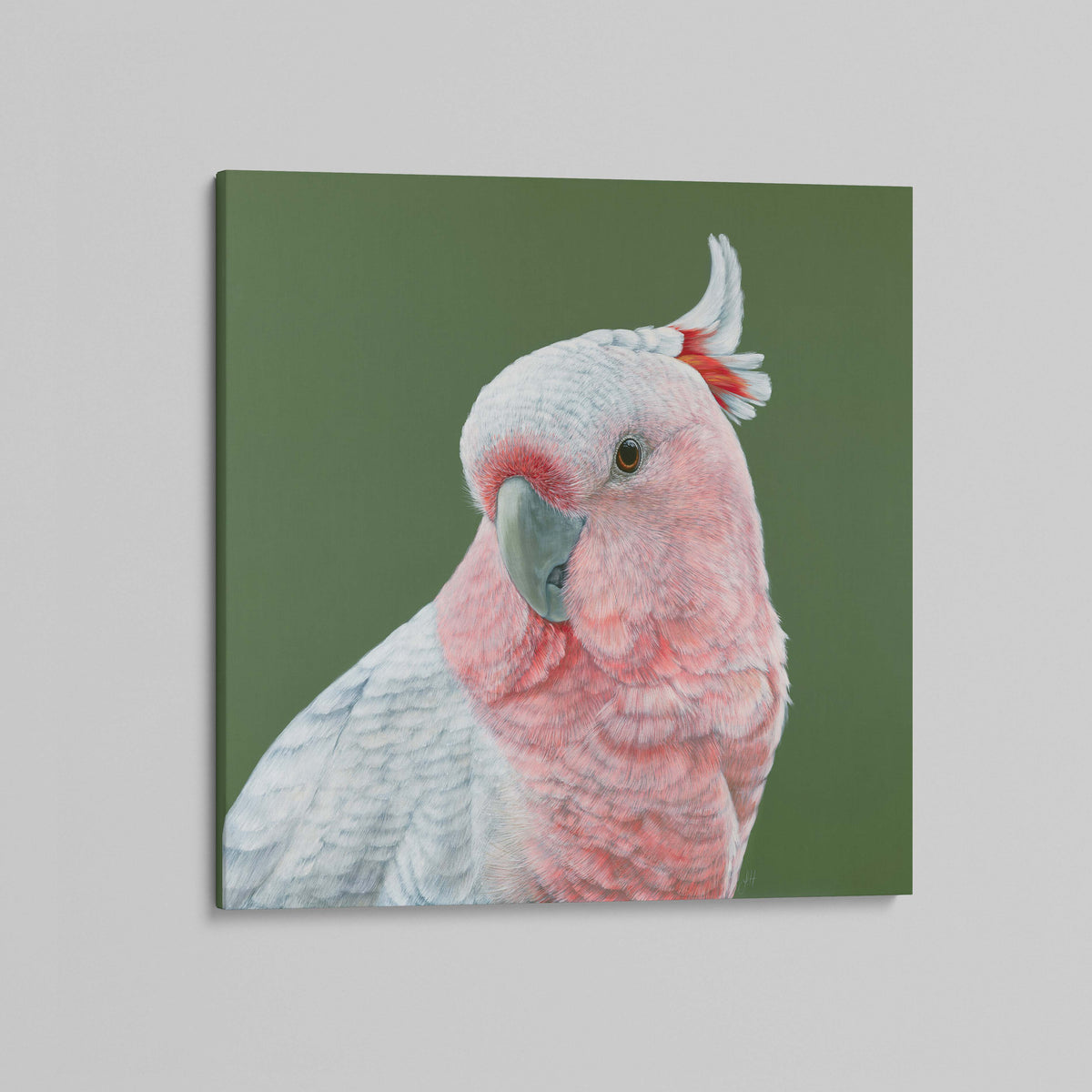 Dawn the Pink Cockatoo canvas print