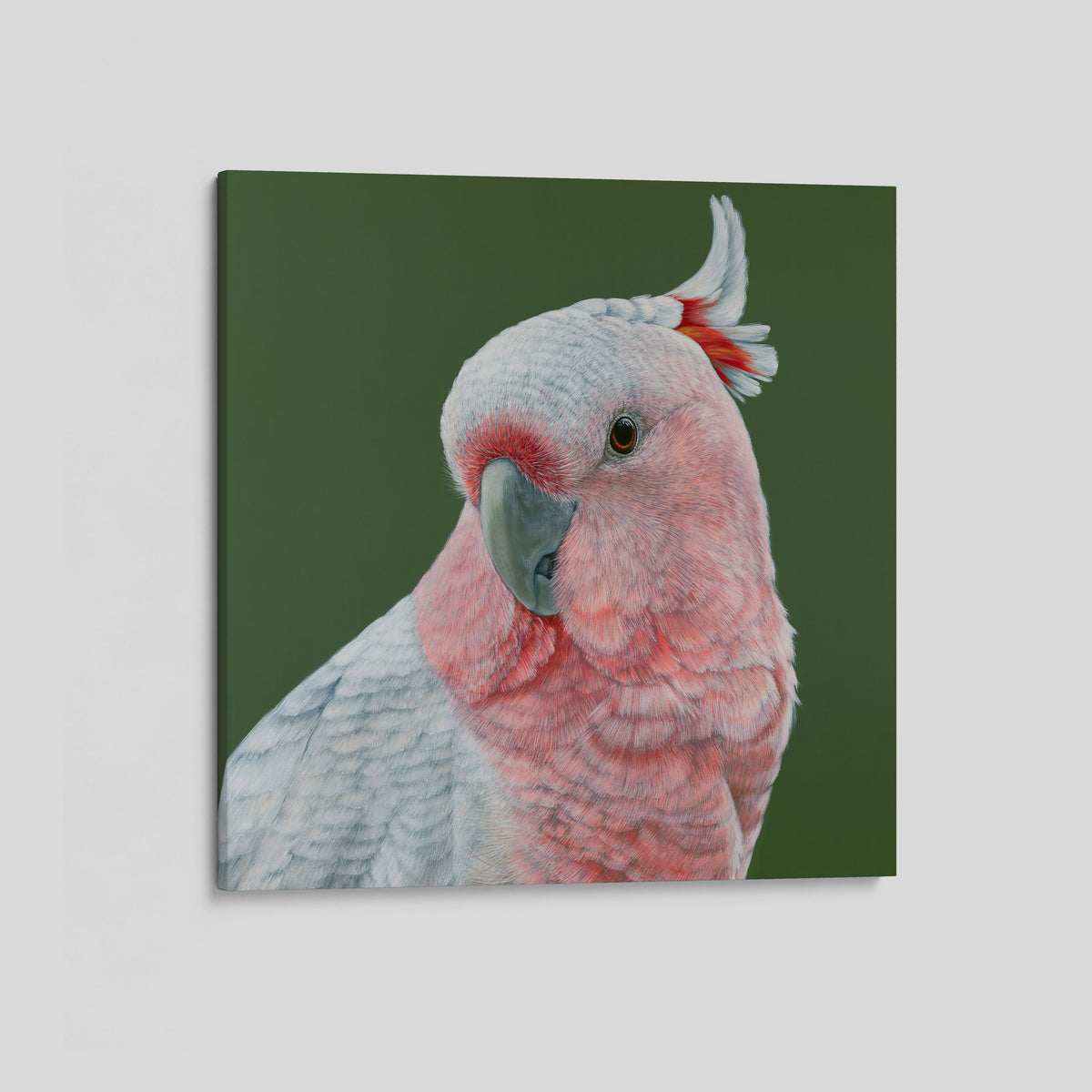 Dawn the Pink Cockatoo canvas print