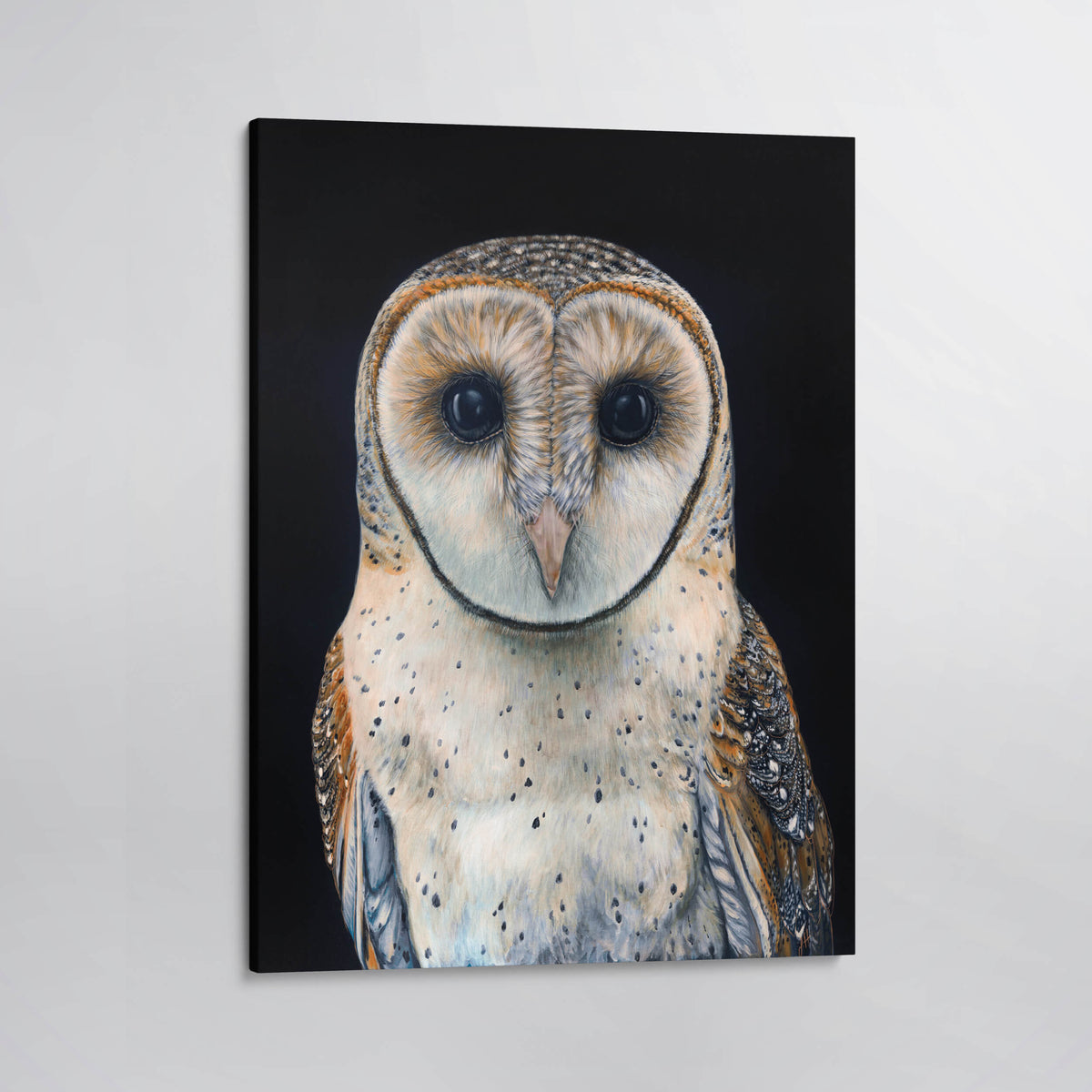 Faith the Australian Masked Owl Canvas Print