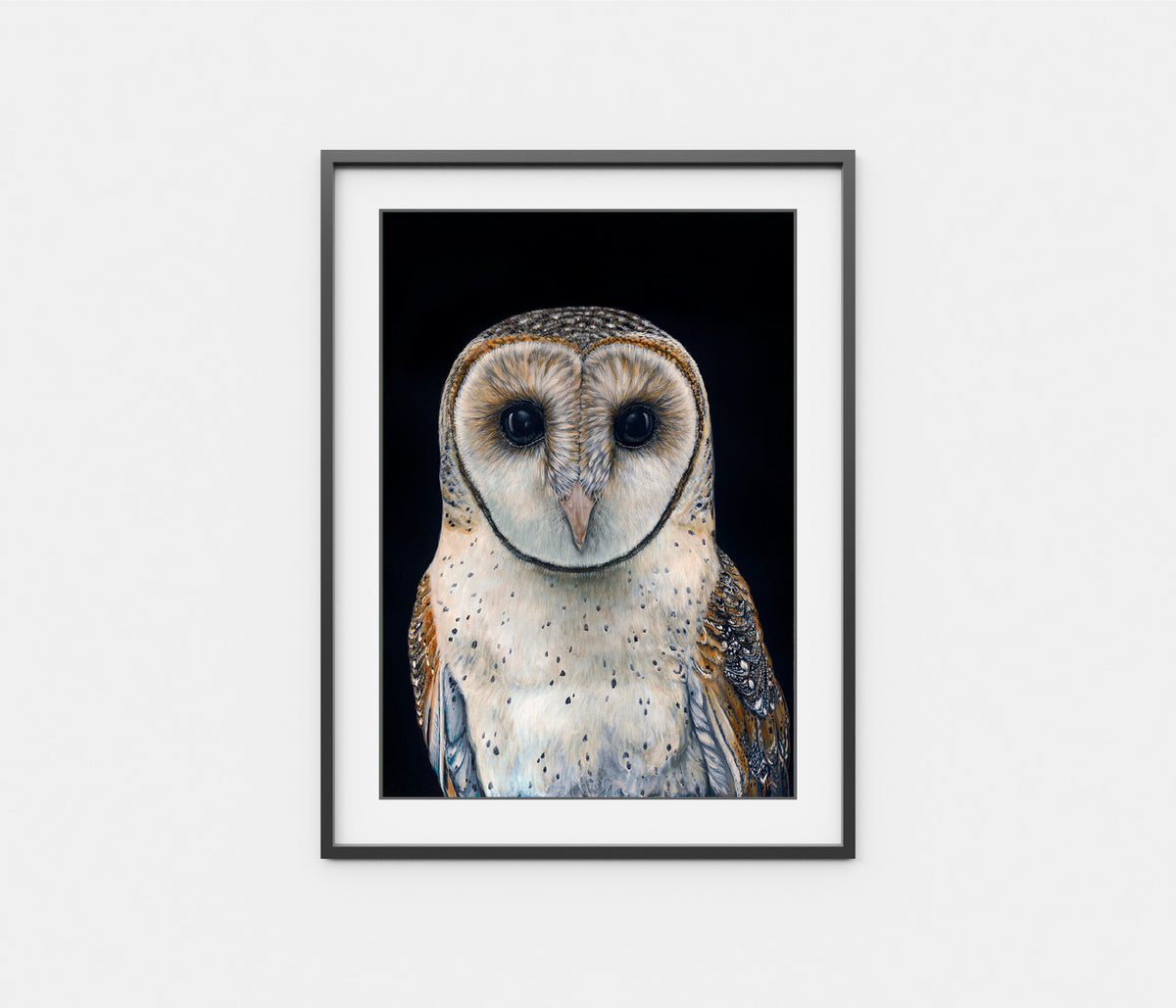 &#39;Faith&#39; the Australian Masked Owl