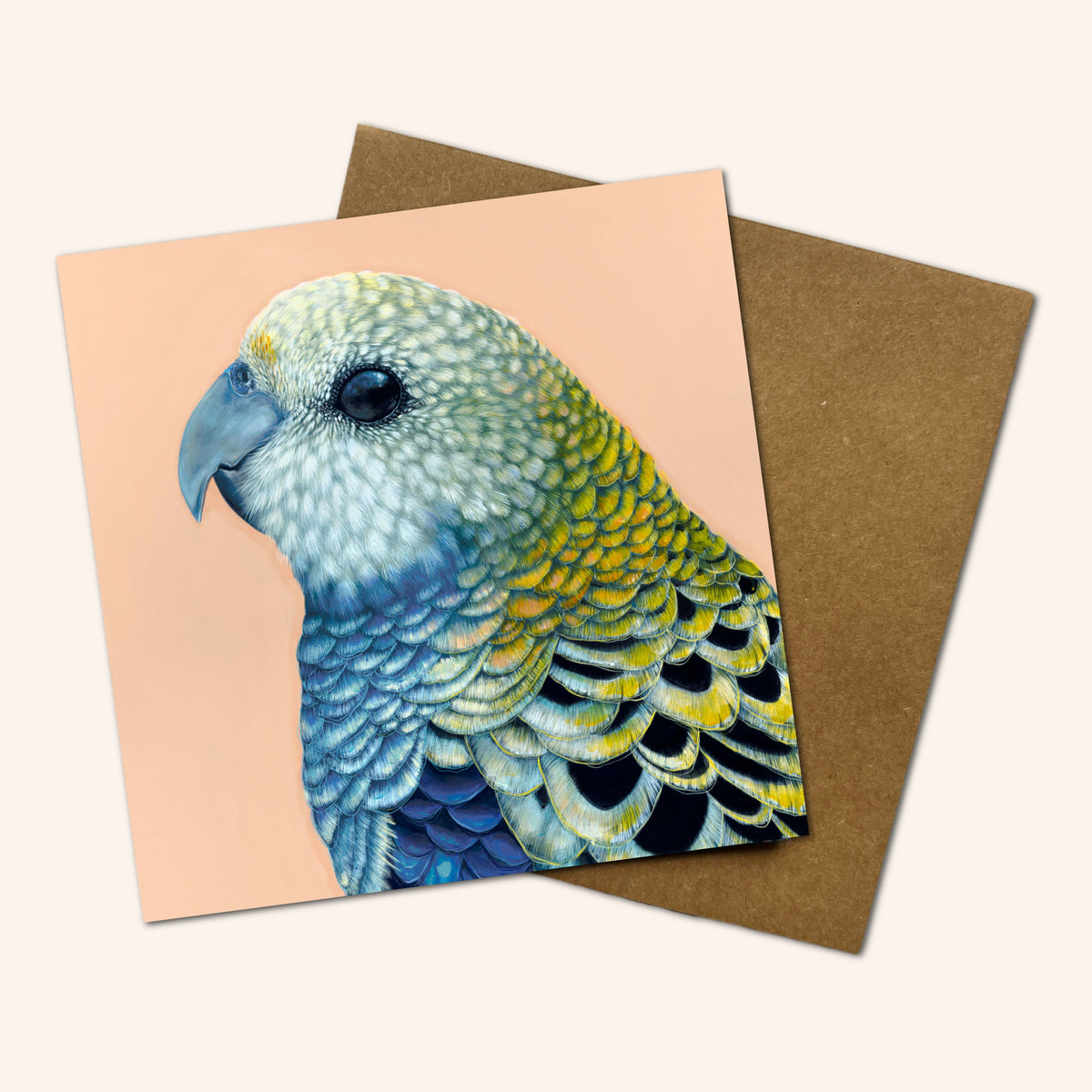 Mystery Greeting card pack of 10 - Birds