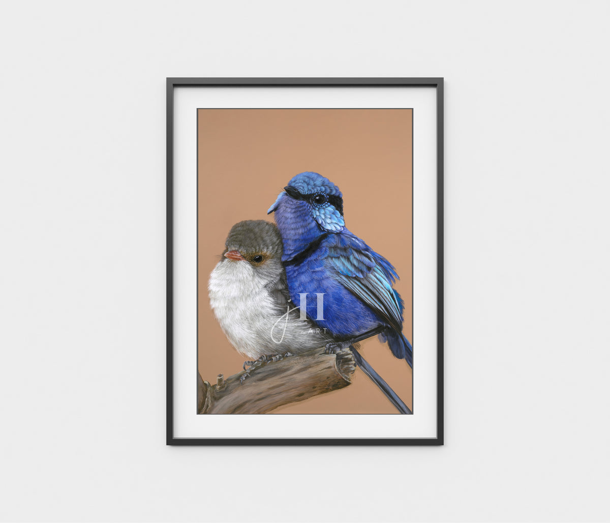 &#39;Fred and Ginger&#39; Splendid Fairy Wren Pair