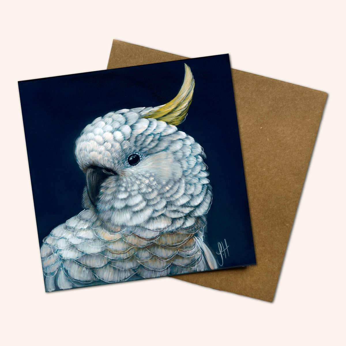 Mystery Greeting card pack of 10 - Birds