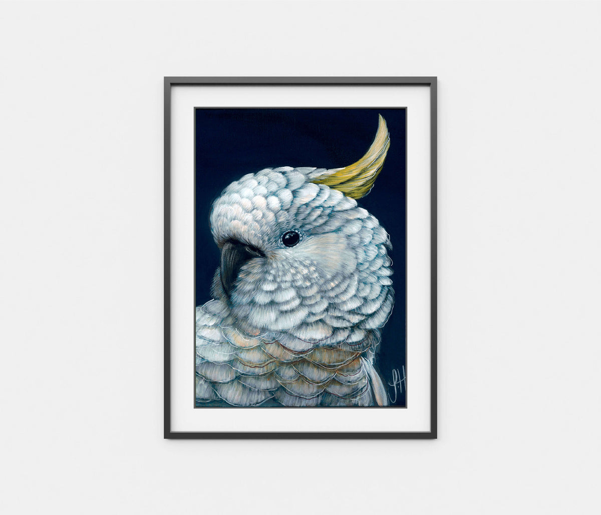 Harry the Sulphur Crested Cockatoo