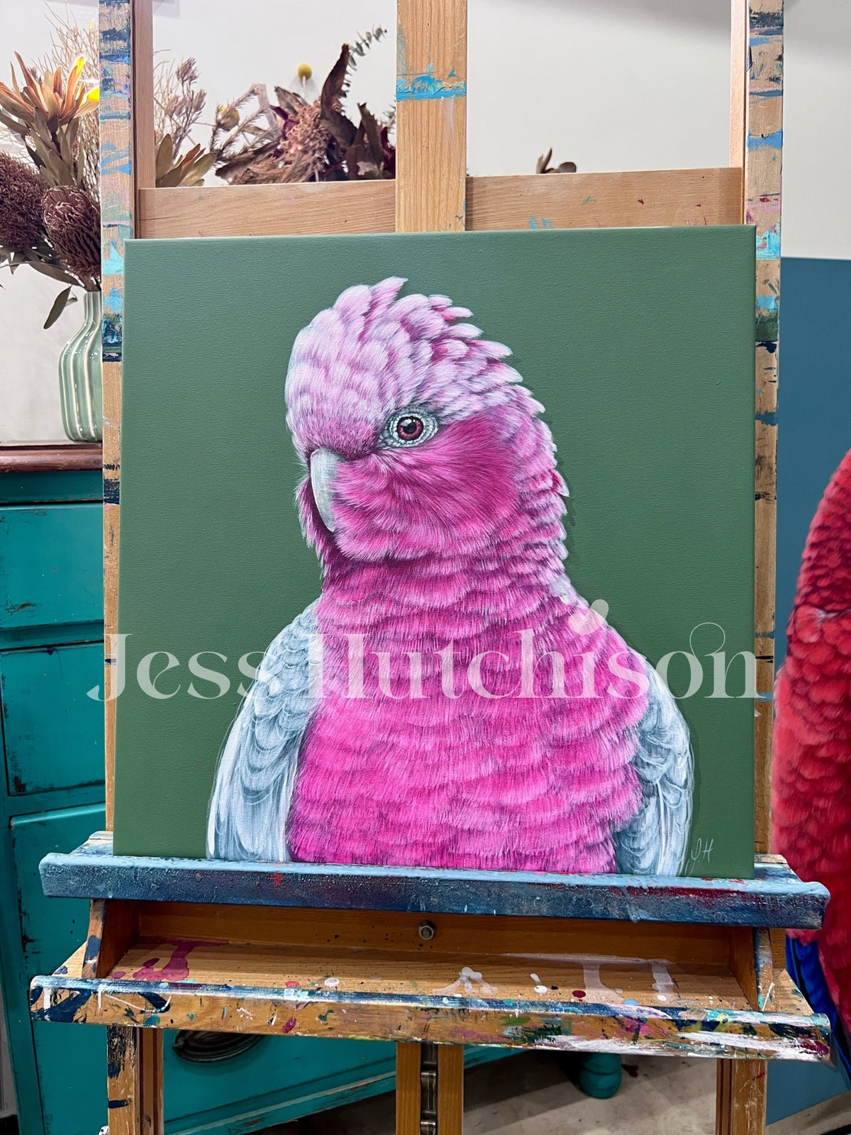 ‘Lottie’ the Galah original framed artwork