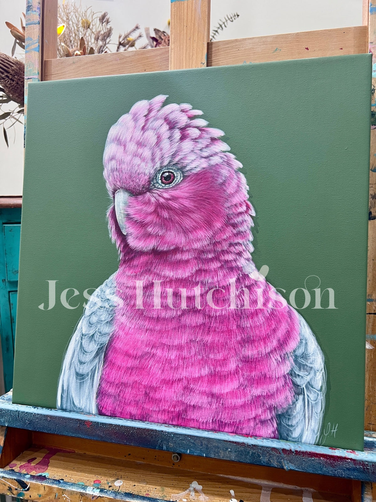 ‘Lottie’ the Galah original framed artwork